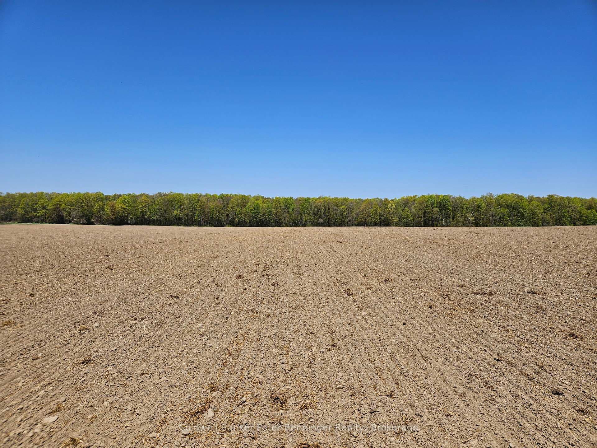 181463 12 Concession photo 31