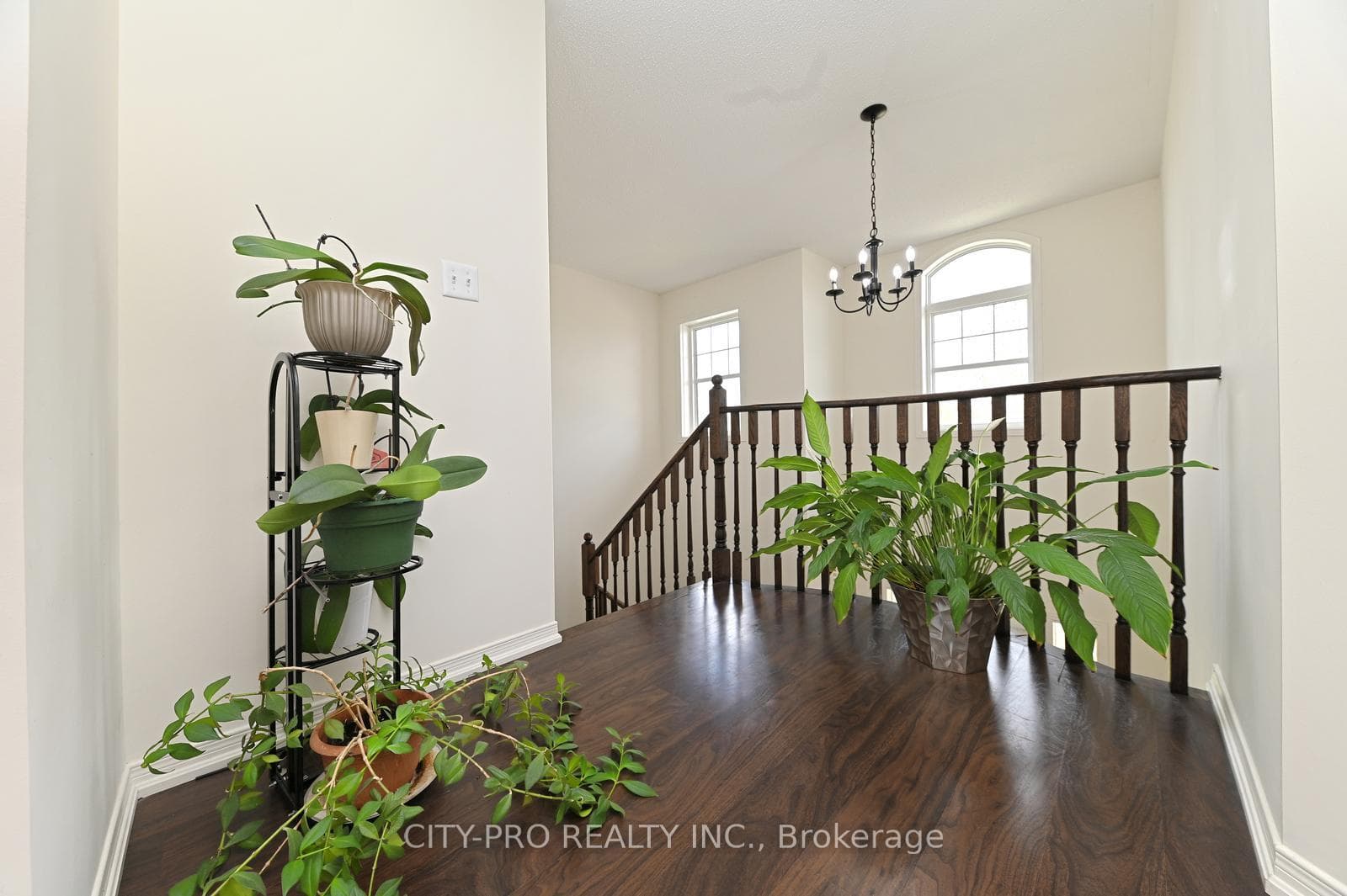 230 Duncan Lane photo 29