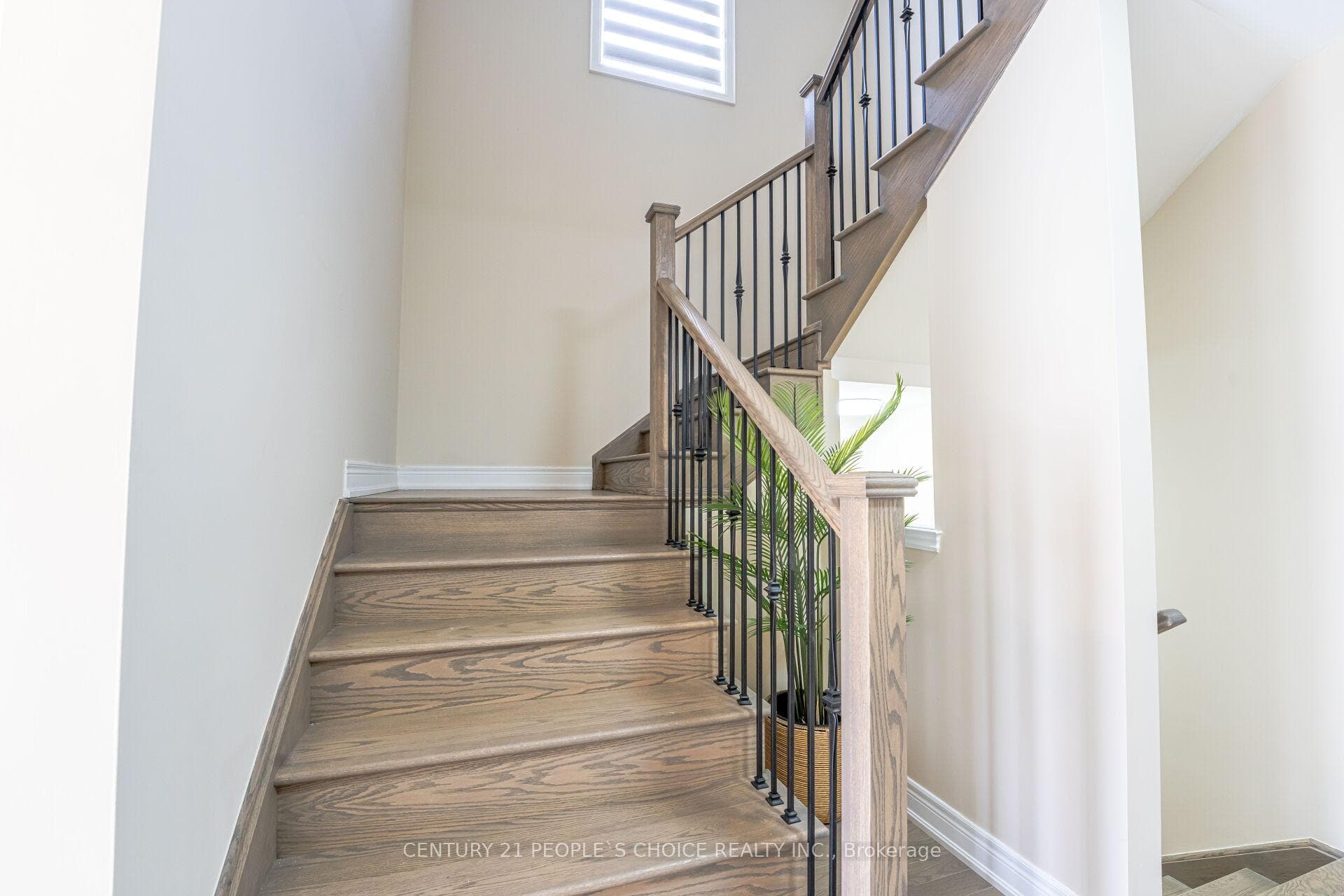 56 Plank Road photo 20