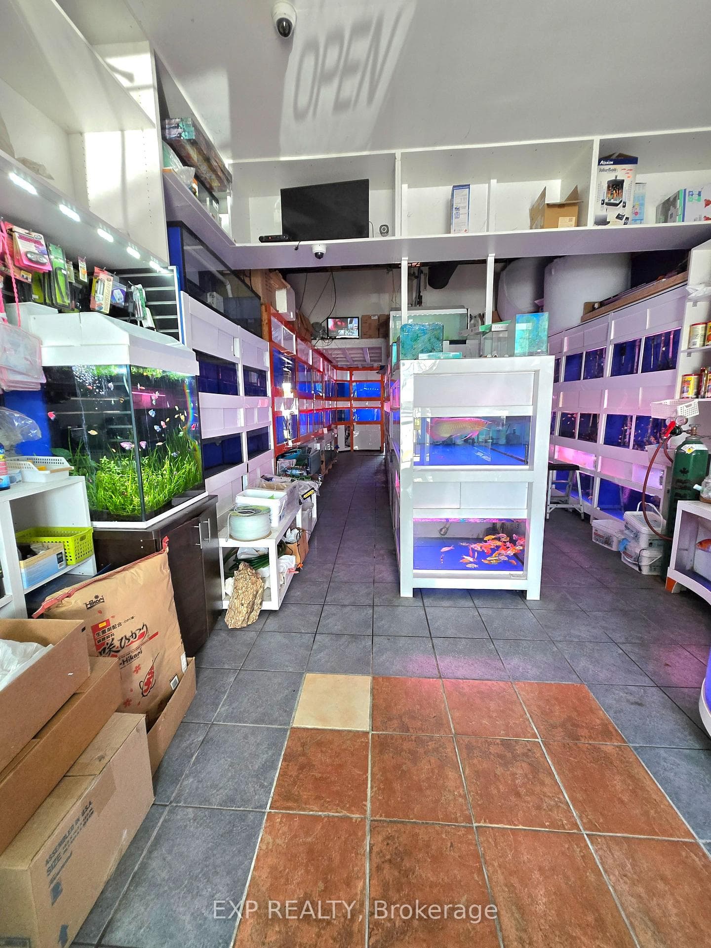 4779 Steeles Avenue Unit B10 photo 7