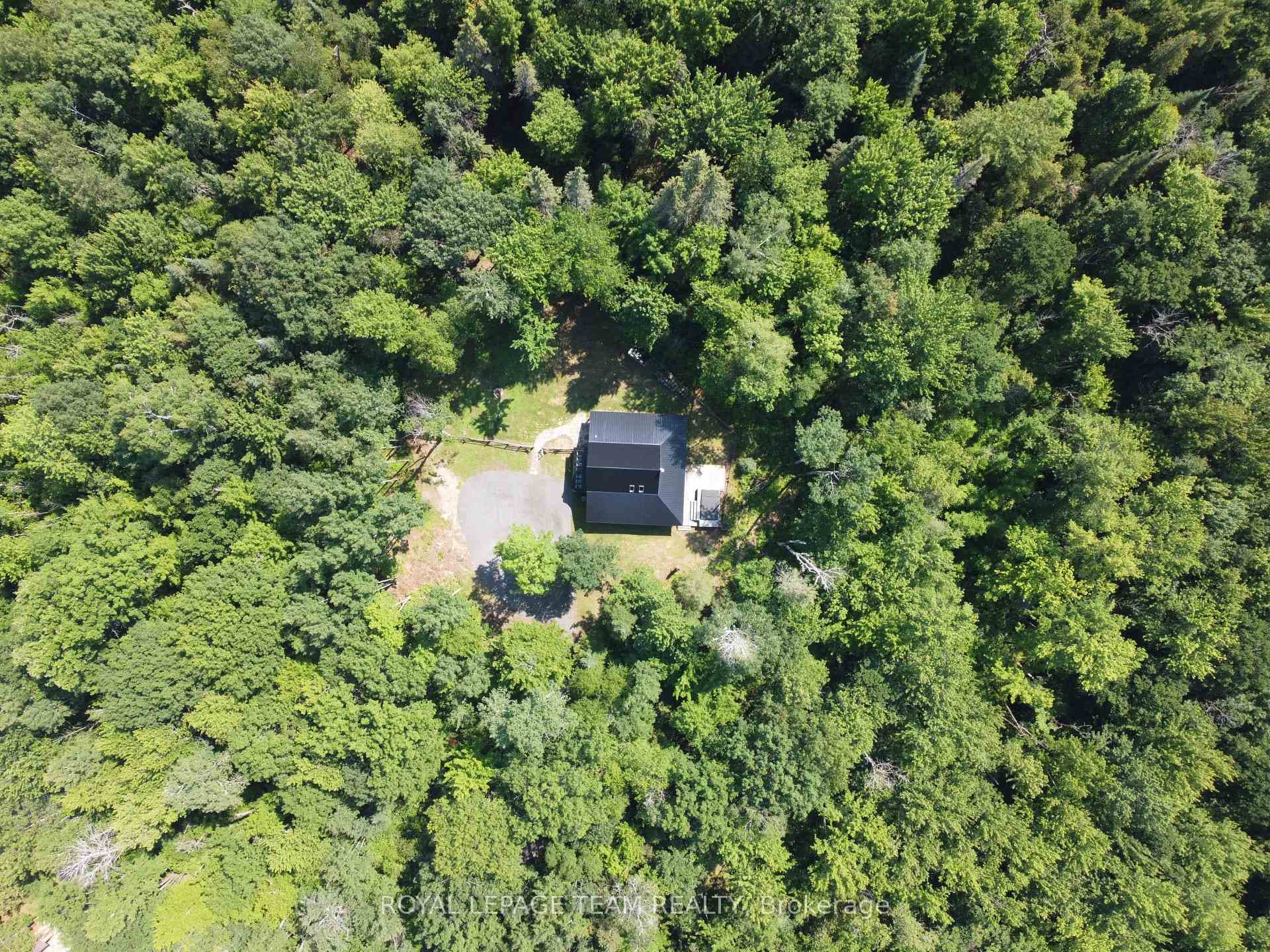 4309 Armitage Avenue photo 49