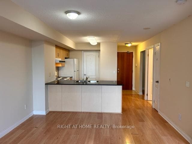 Kitchen and Living room