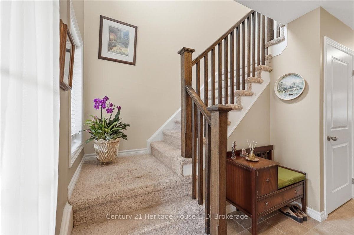 97 Abbott Place photo 19