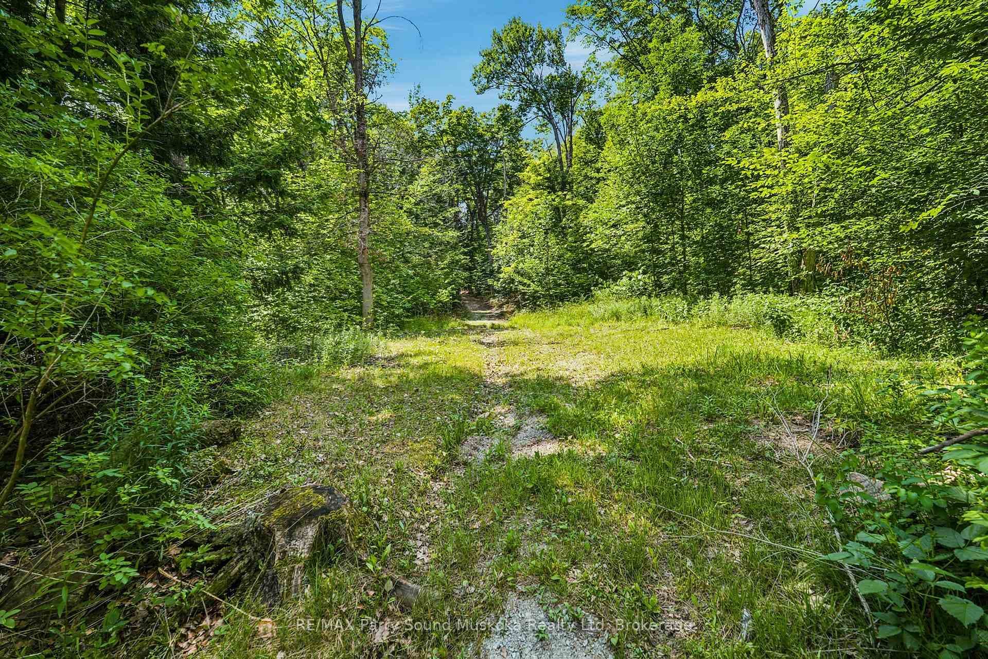 24 South Crane Lake Road photo 27