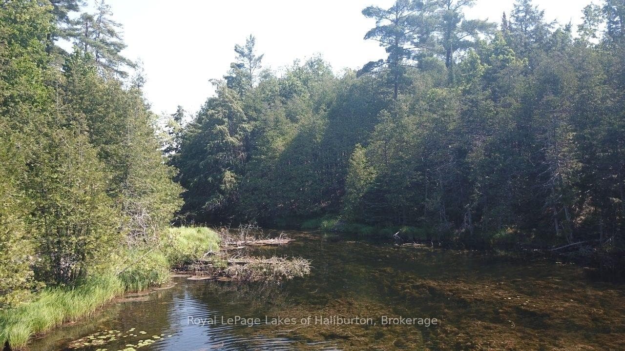 Beside 1456 Crystal Lake Road photo 22