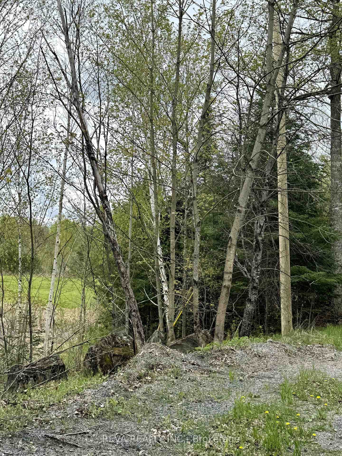 42 Clear Lake Court photo 10