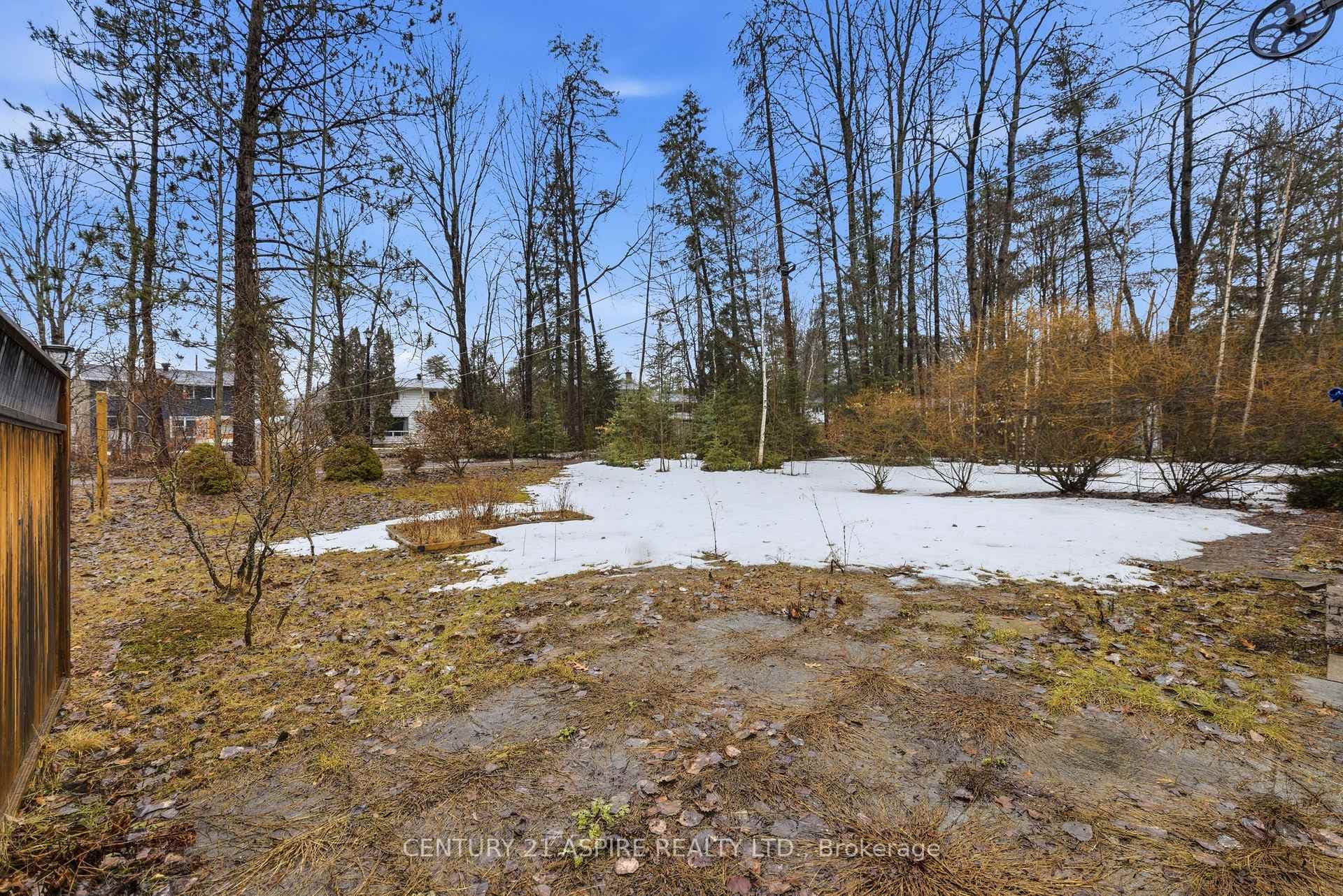 102 Birch Street photo 33