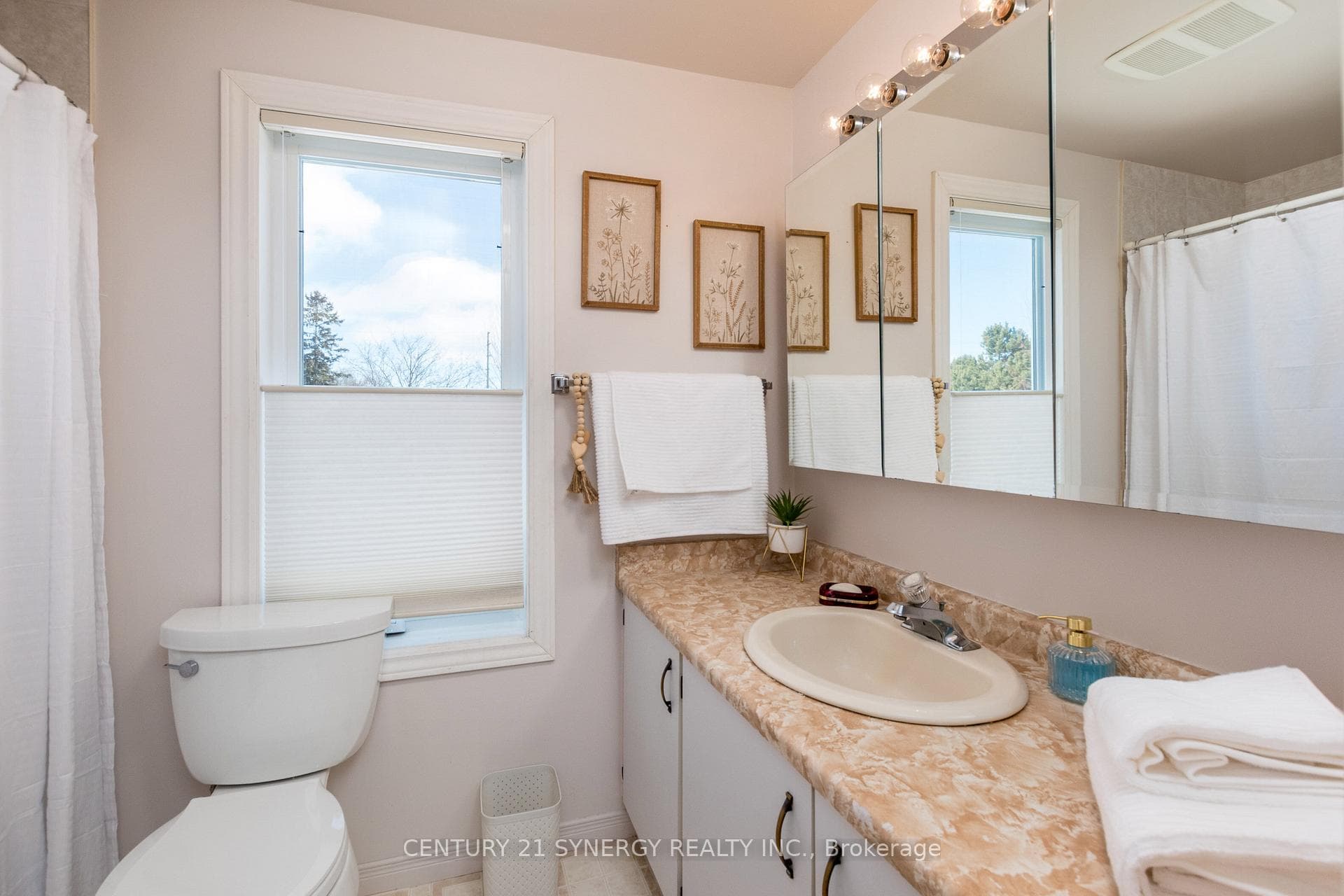 47 Rothesay Drive photo 18