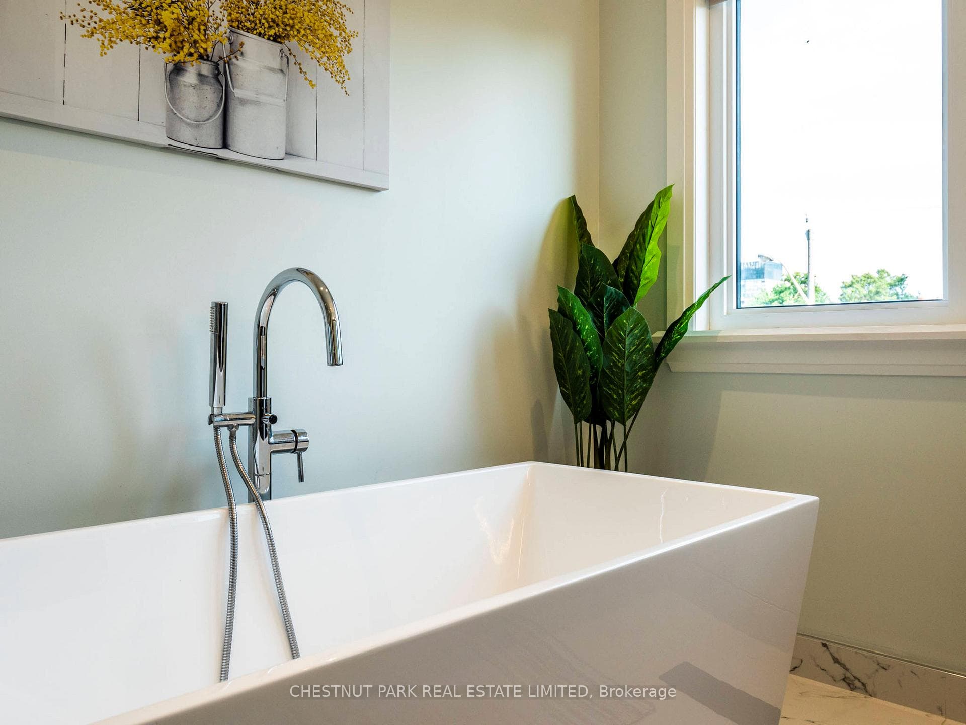 246 Torrens Avenue photo 15