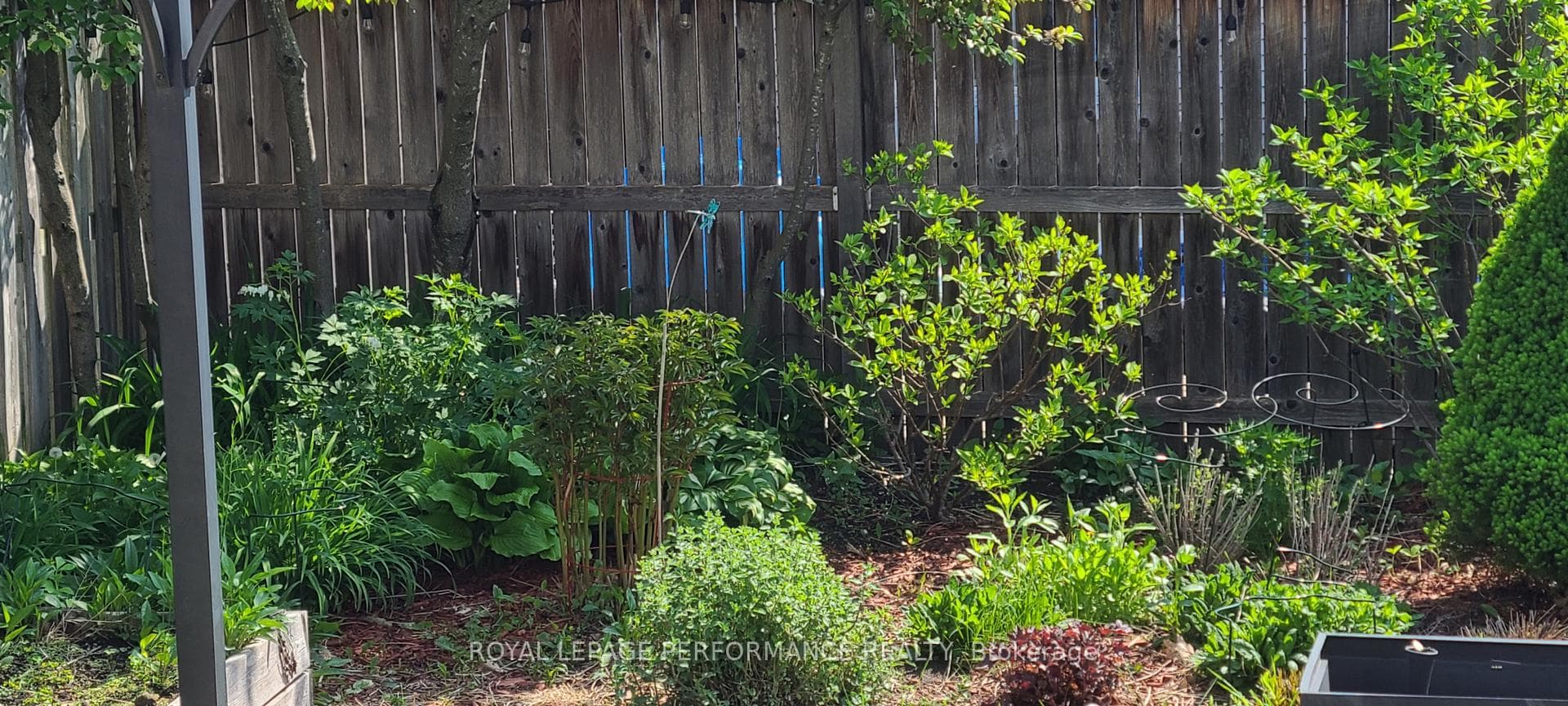 Garden images from prior years provided by seller.