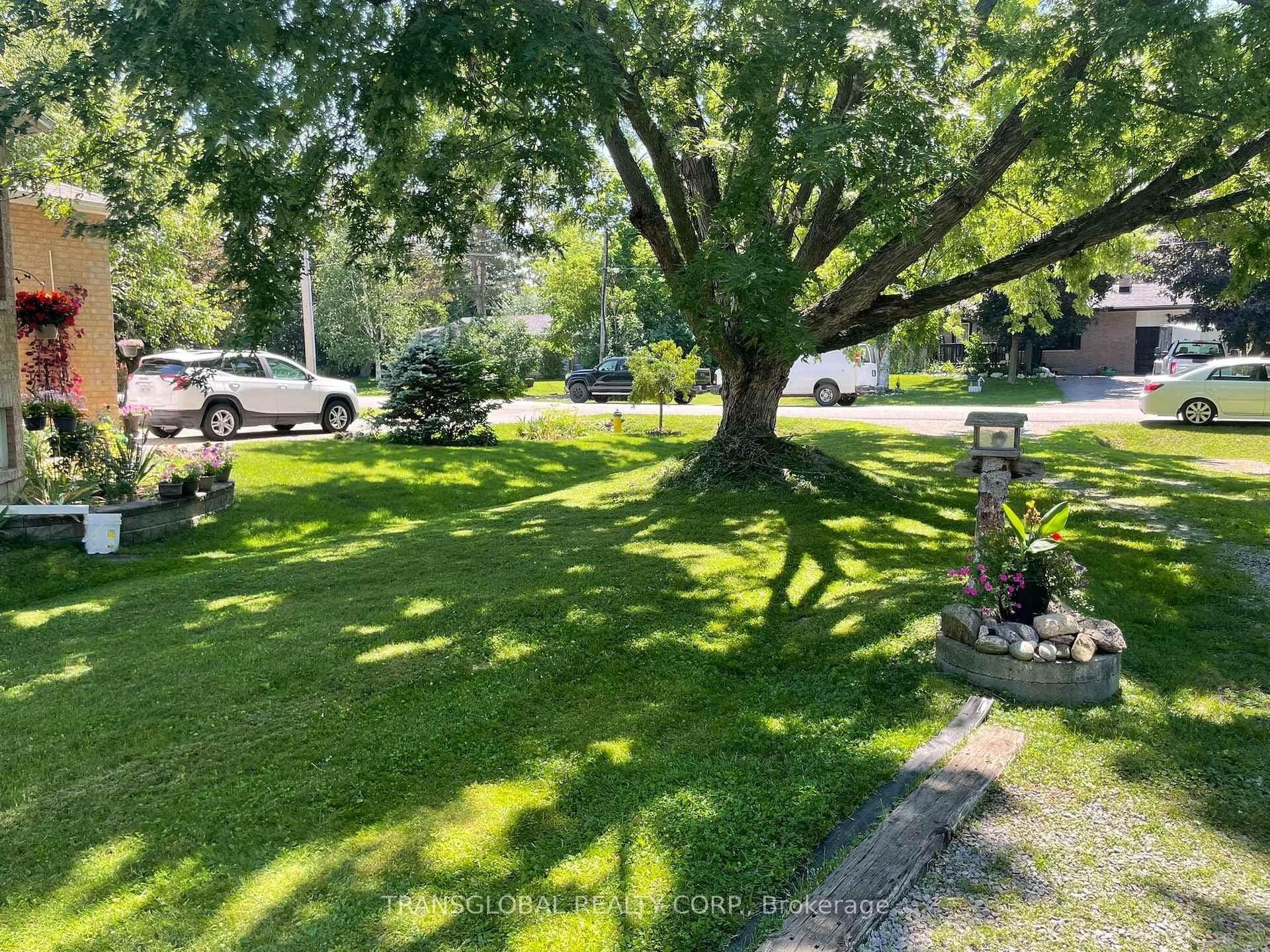 Front Yard
