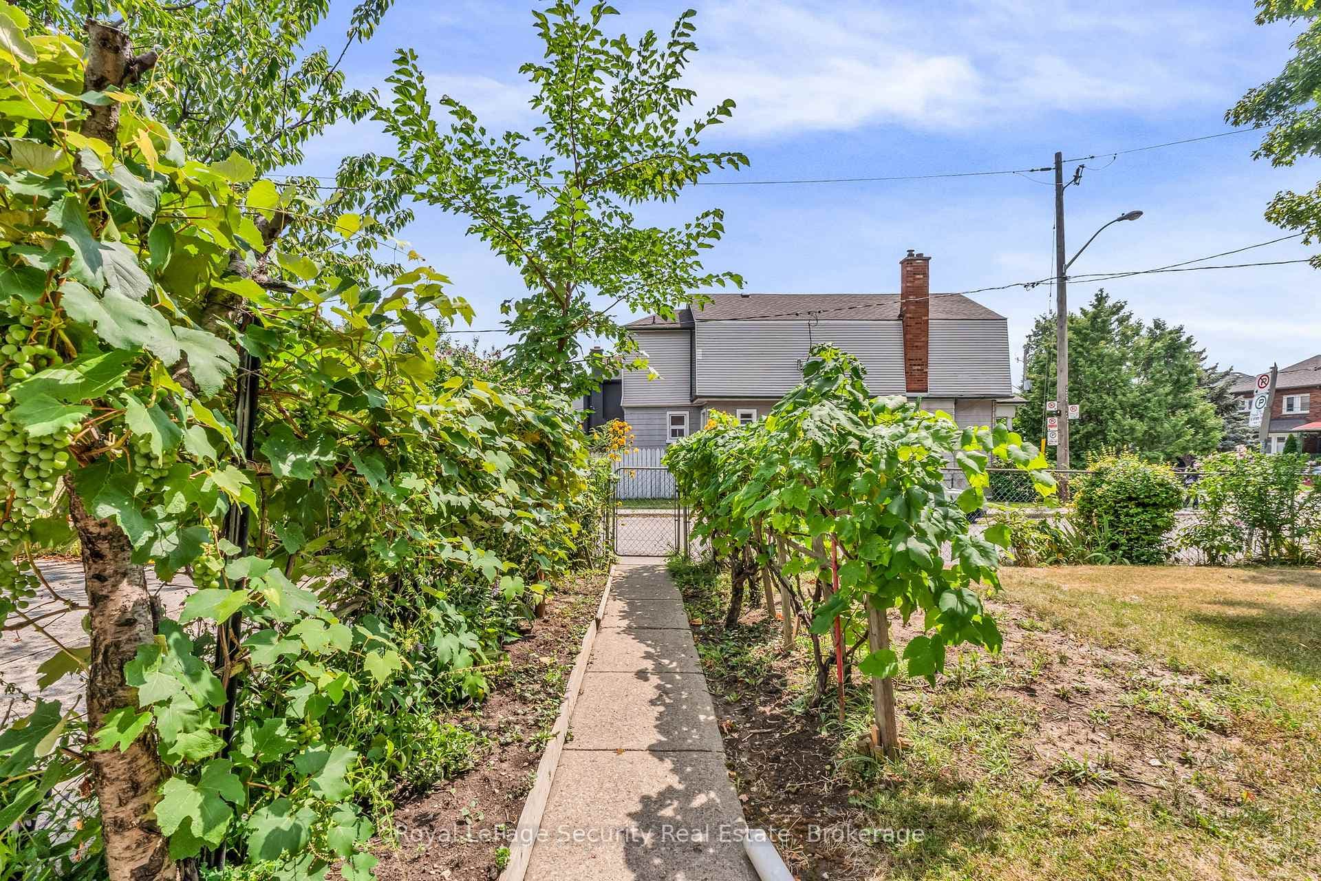 427 Glenholme Avenue photo 36