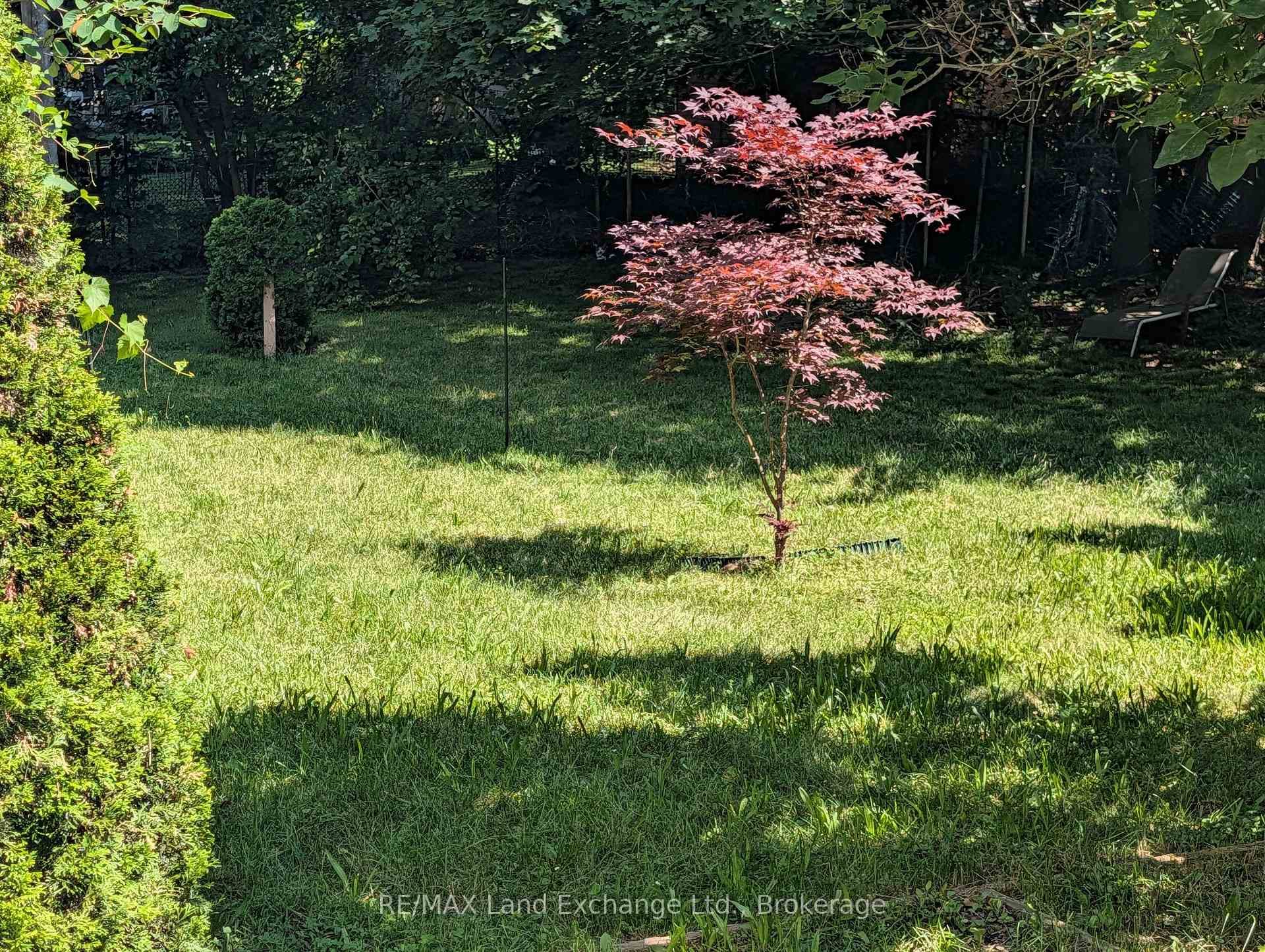 Yard