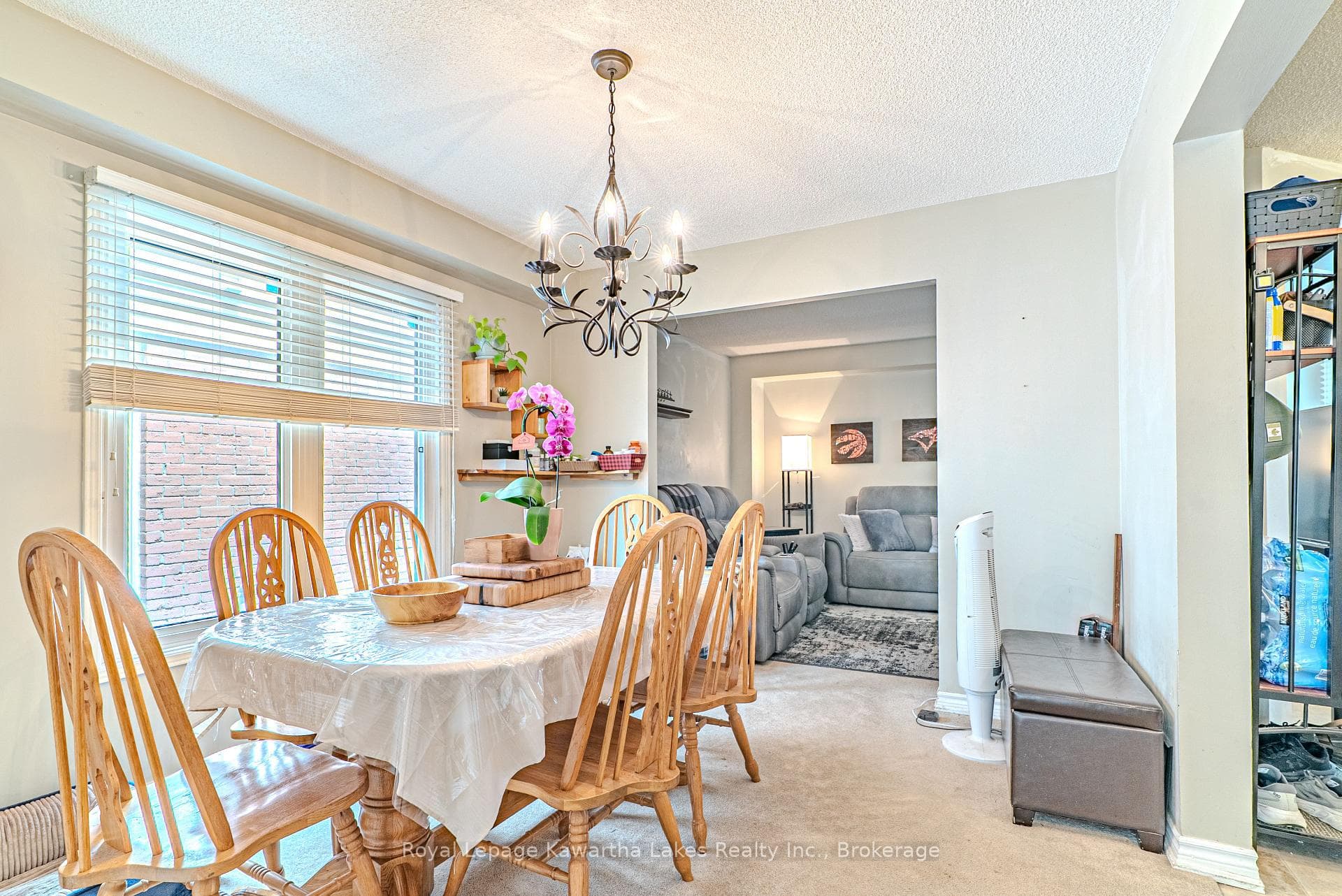 38 Lipton Crescent photo 12