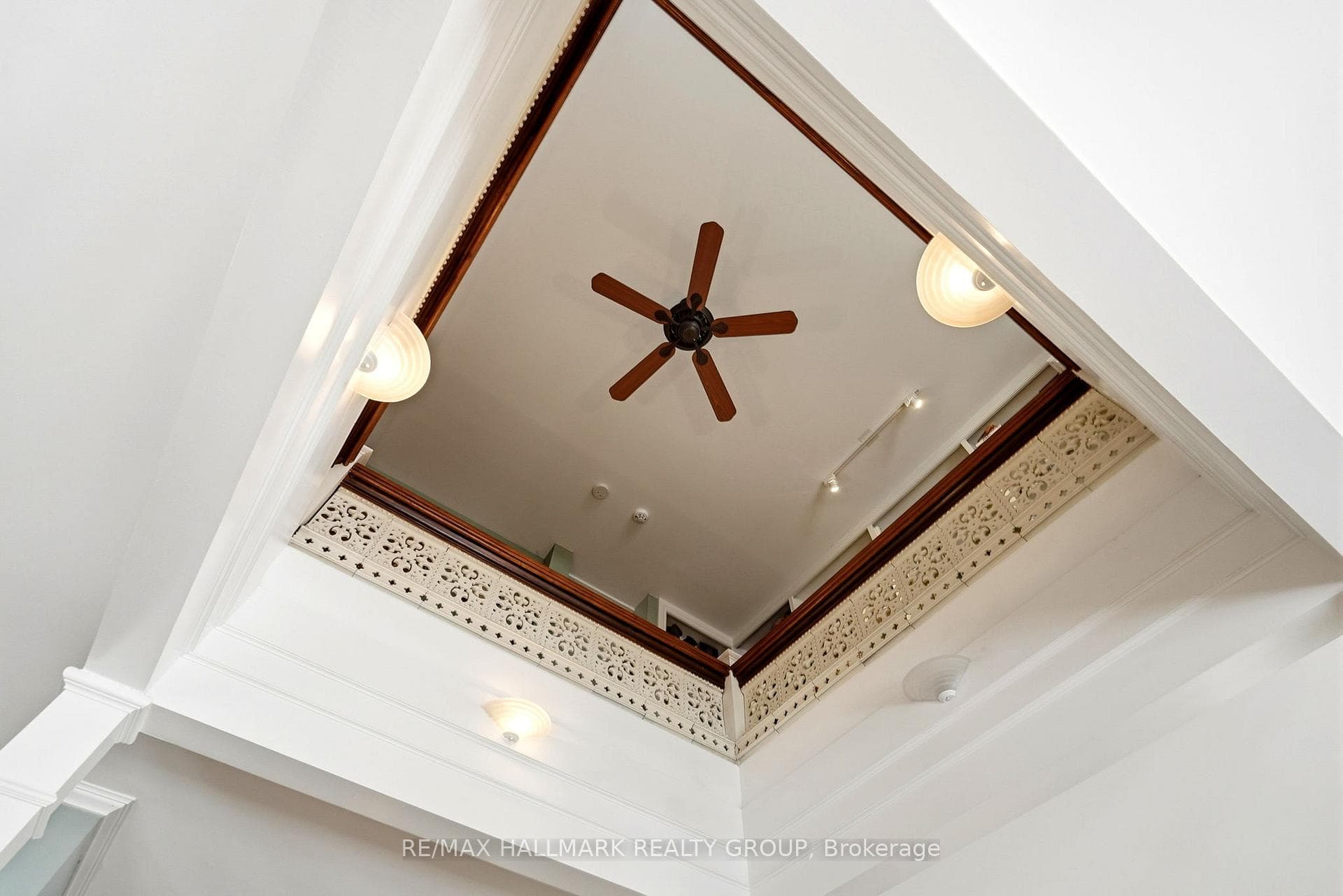 53 Scrivens Street photo 37