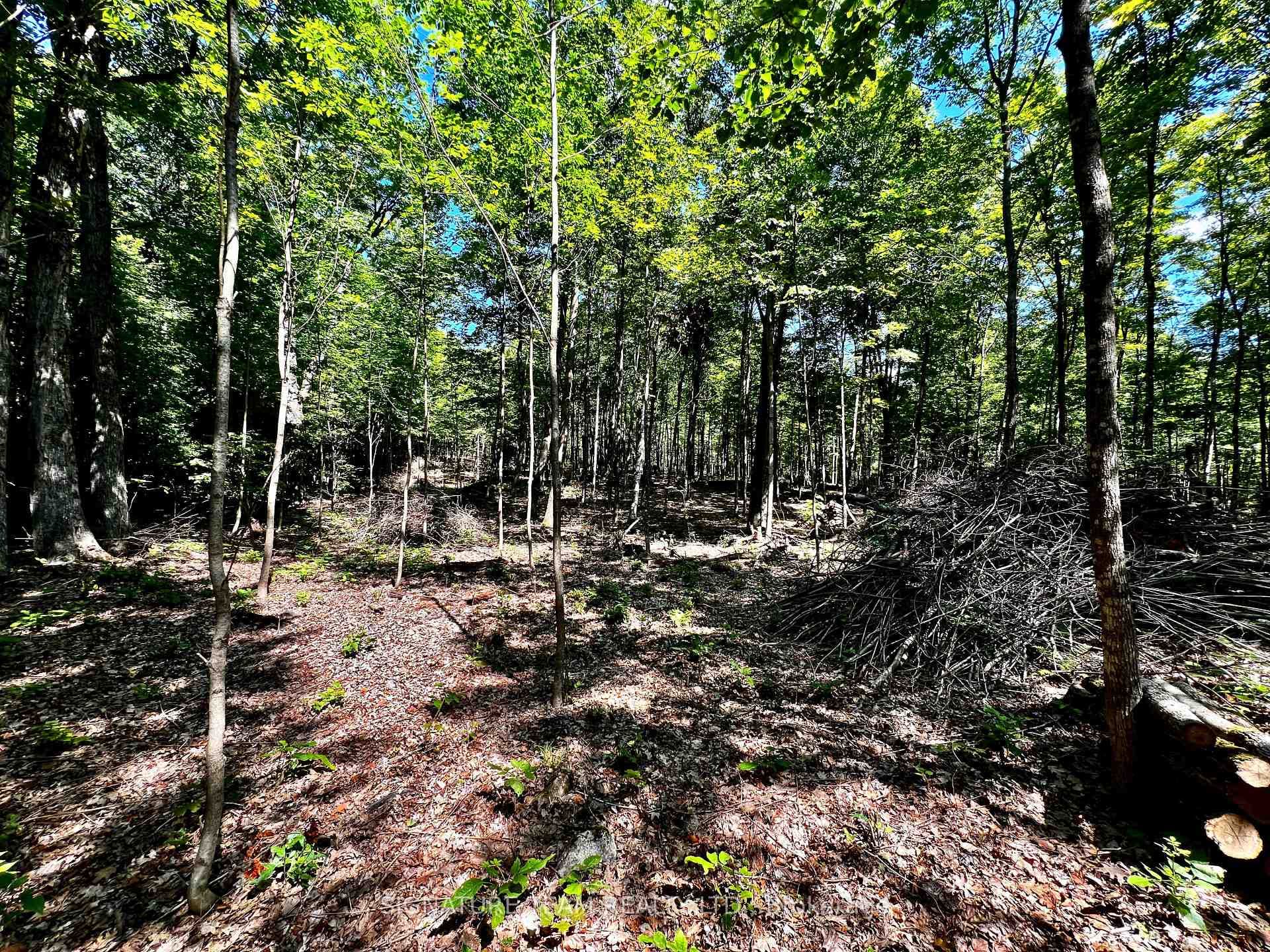 0 Nordic Lane photo 31