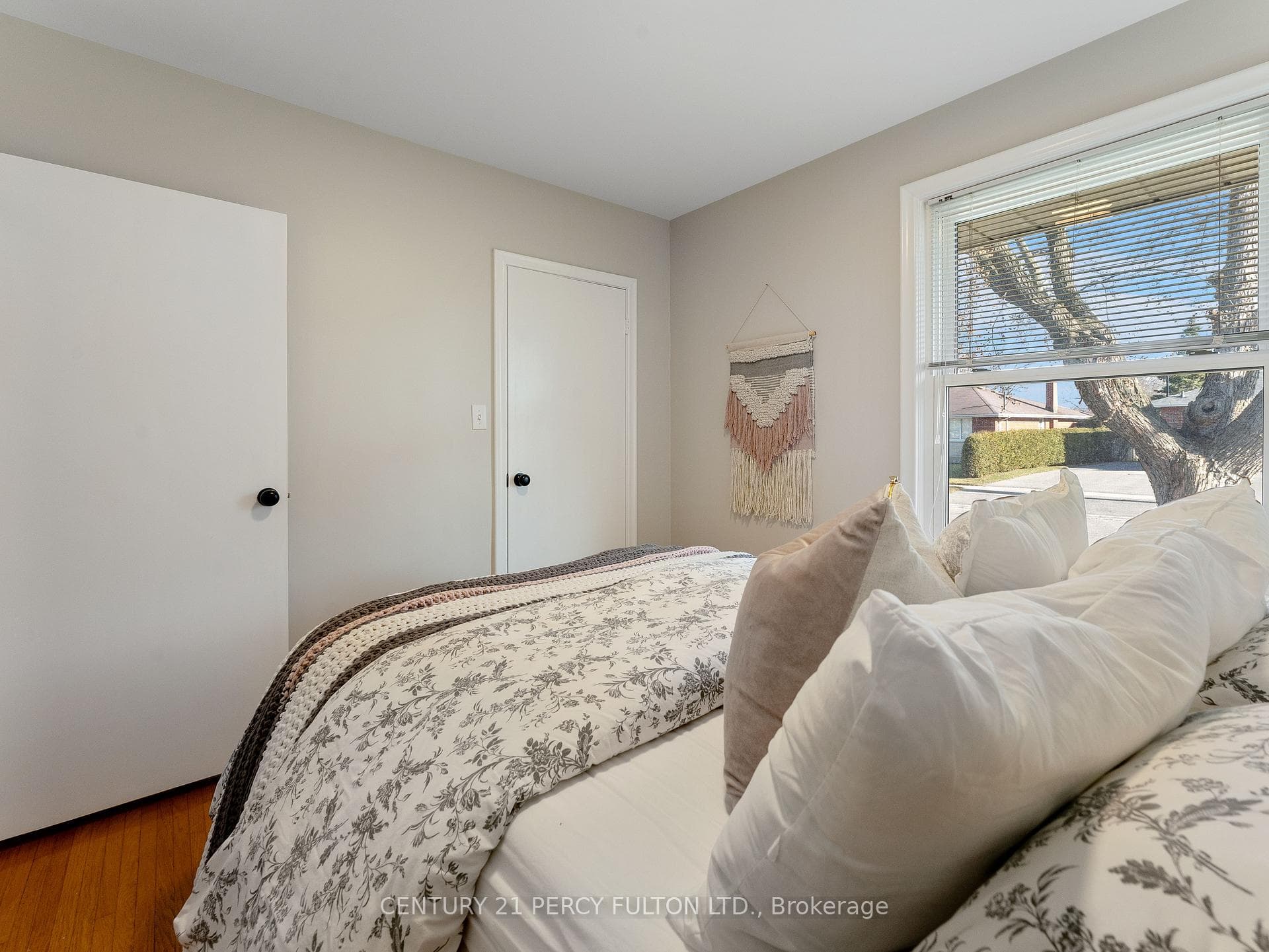 776 Regent Drive photo 15