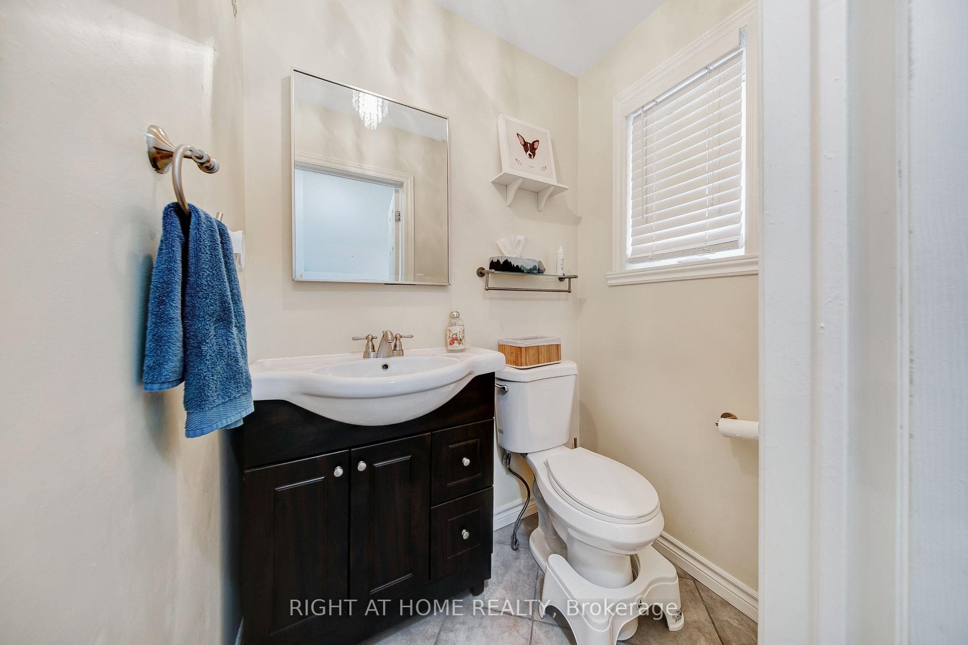 11 Potter Crescent photo 8
