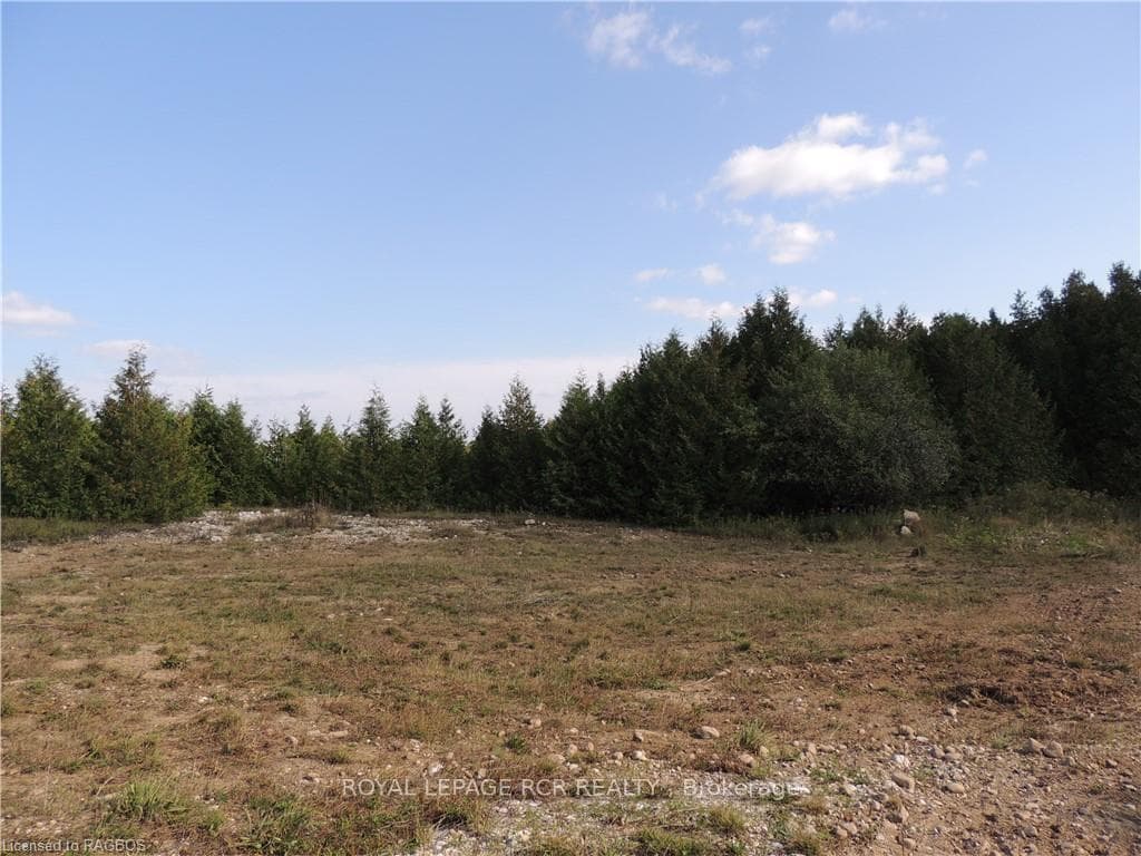 384551 CONCESSION 4 N/A photo 7