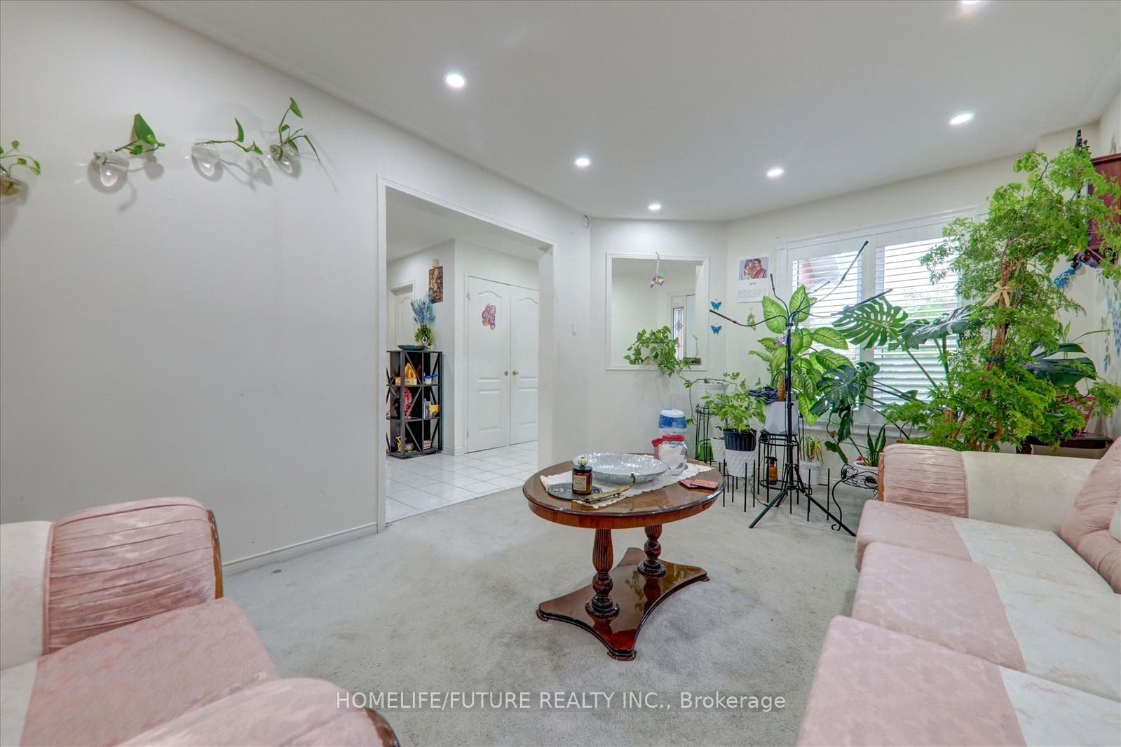 10 Hania Terrace photo 15