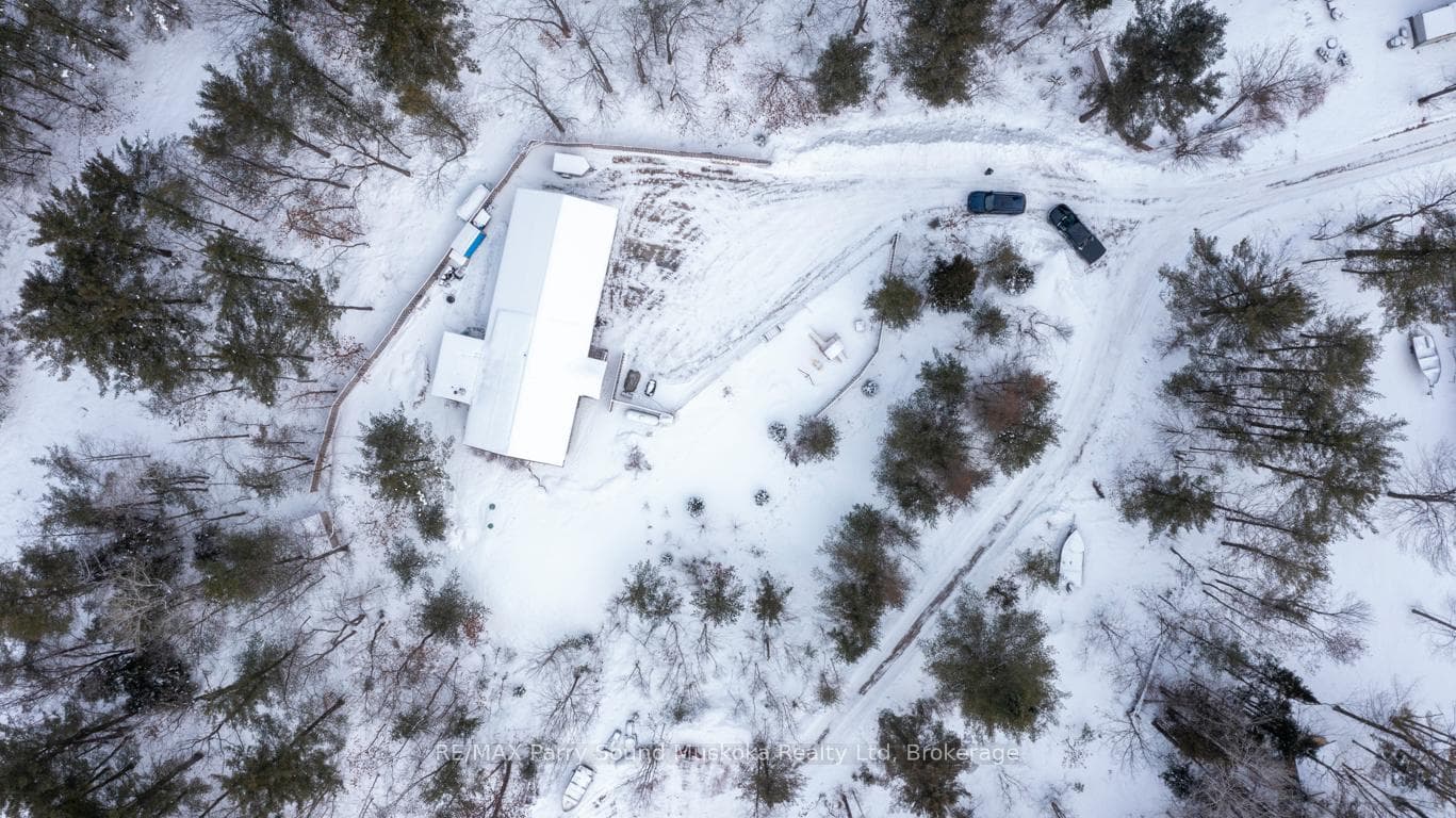 16D Hammel Avenue photo 28