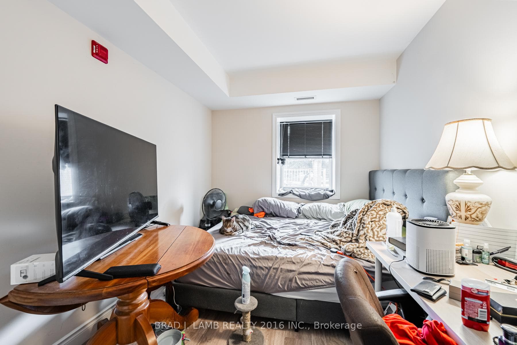 2904A Danforth Avenue Unit 3 photo 12