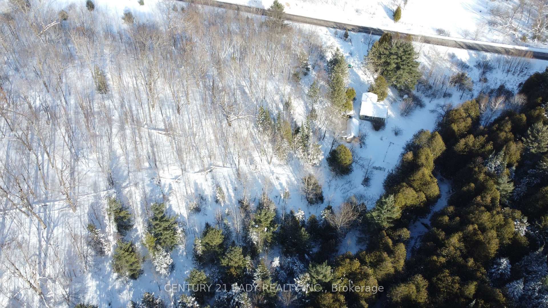 949 Whelan Road photo 41