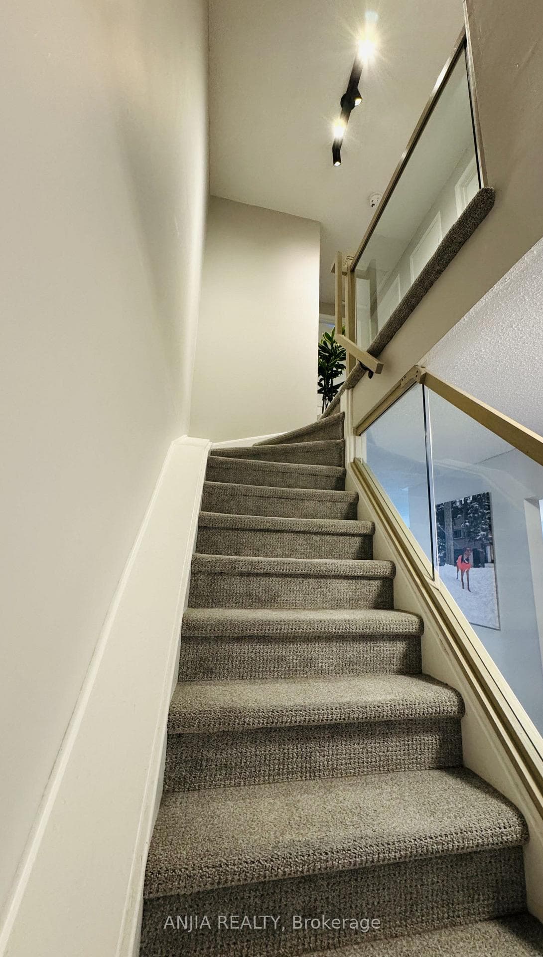7 Purple Sageway N/A photo 20