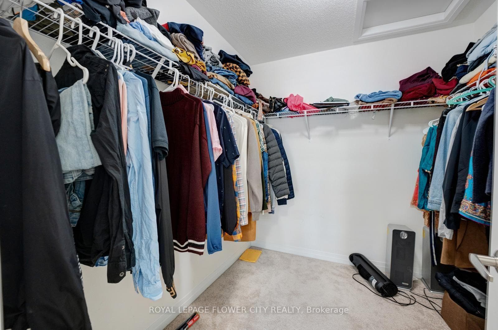 44 Weylie Street photo 43
