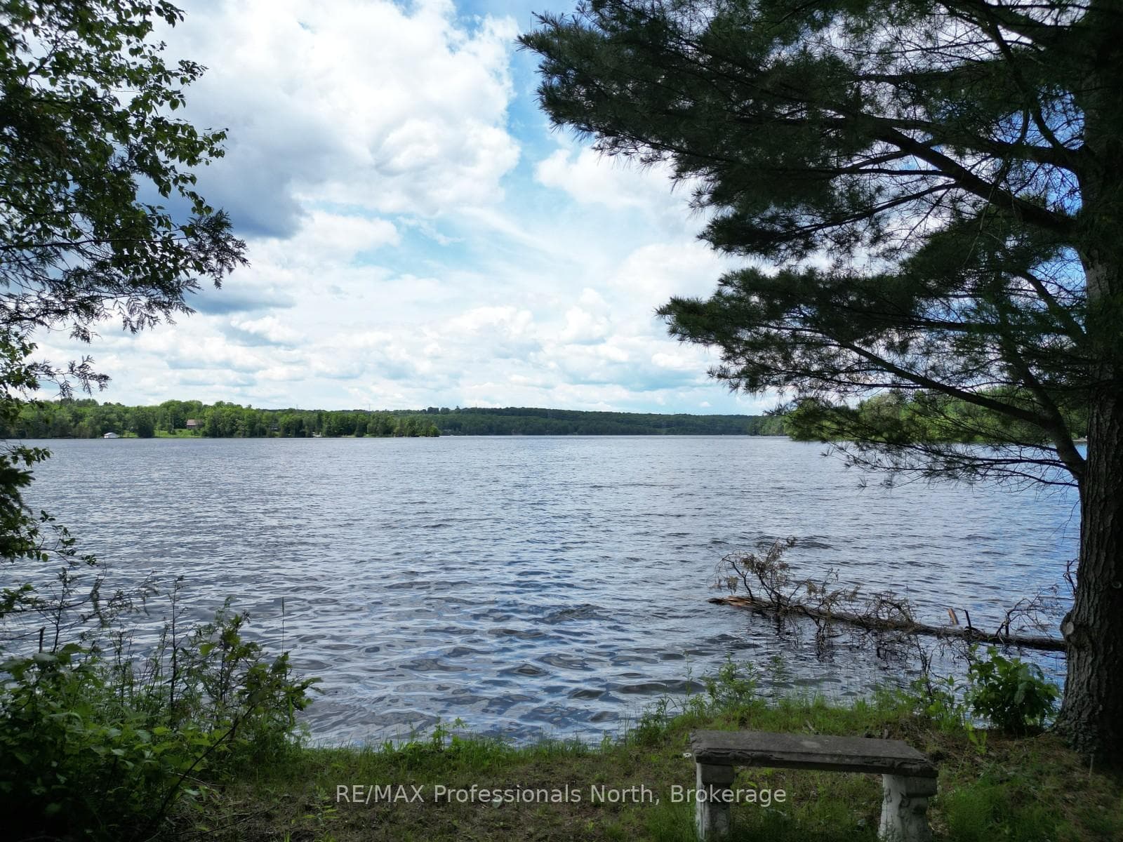 2397 Kashagawigamog Lake Road photo 24