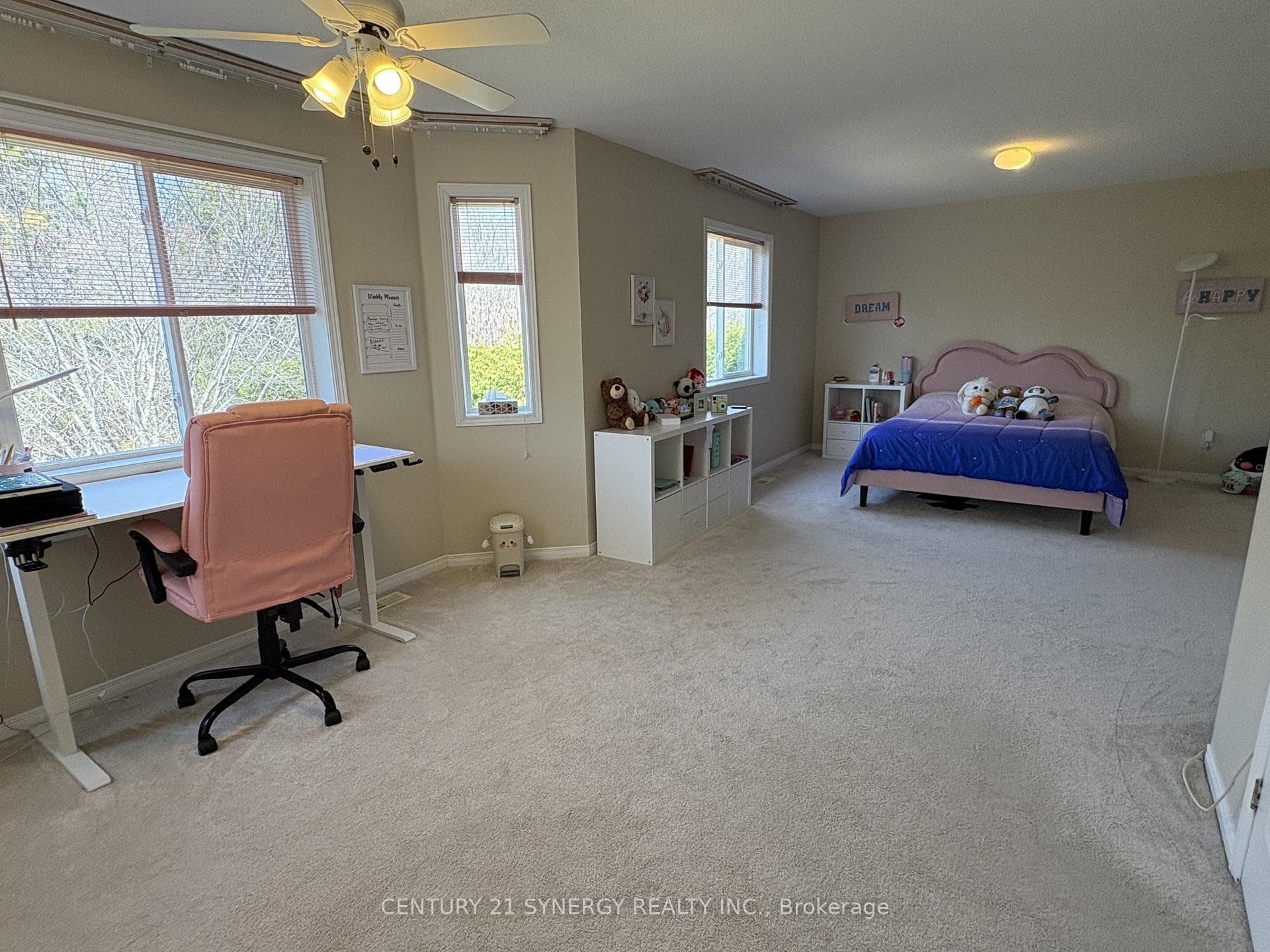 149 INSMILL Crescent photo 27