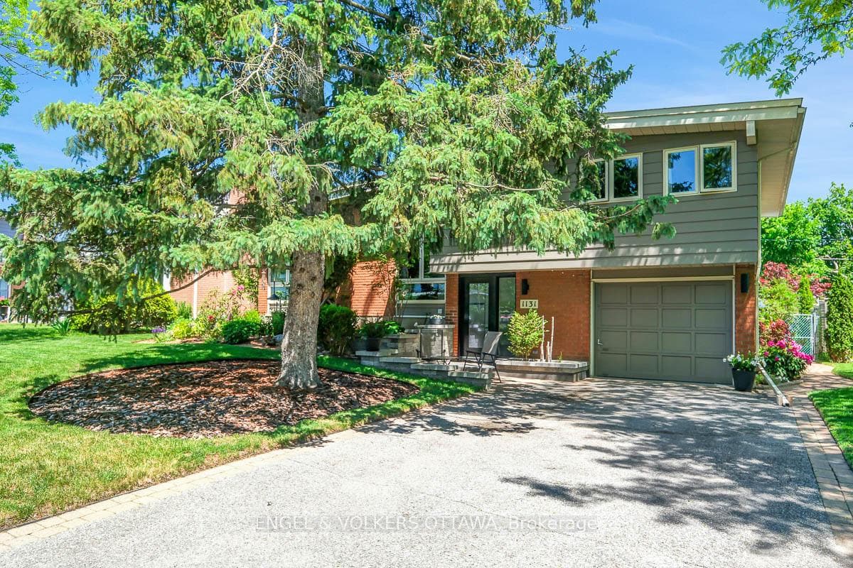 1131 Cameo Drive photo 3