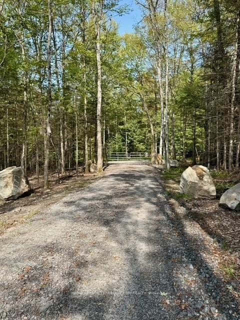 1394 Bartlett Lake Road photo 20