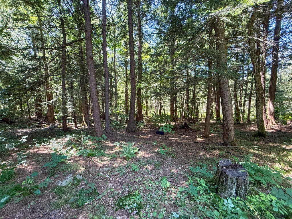 17 White Beaver Trail photo 6