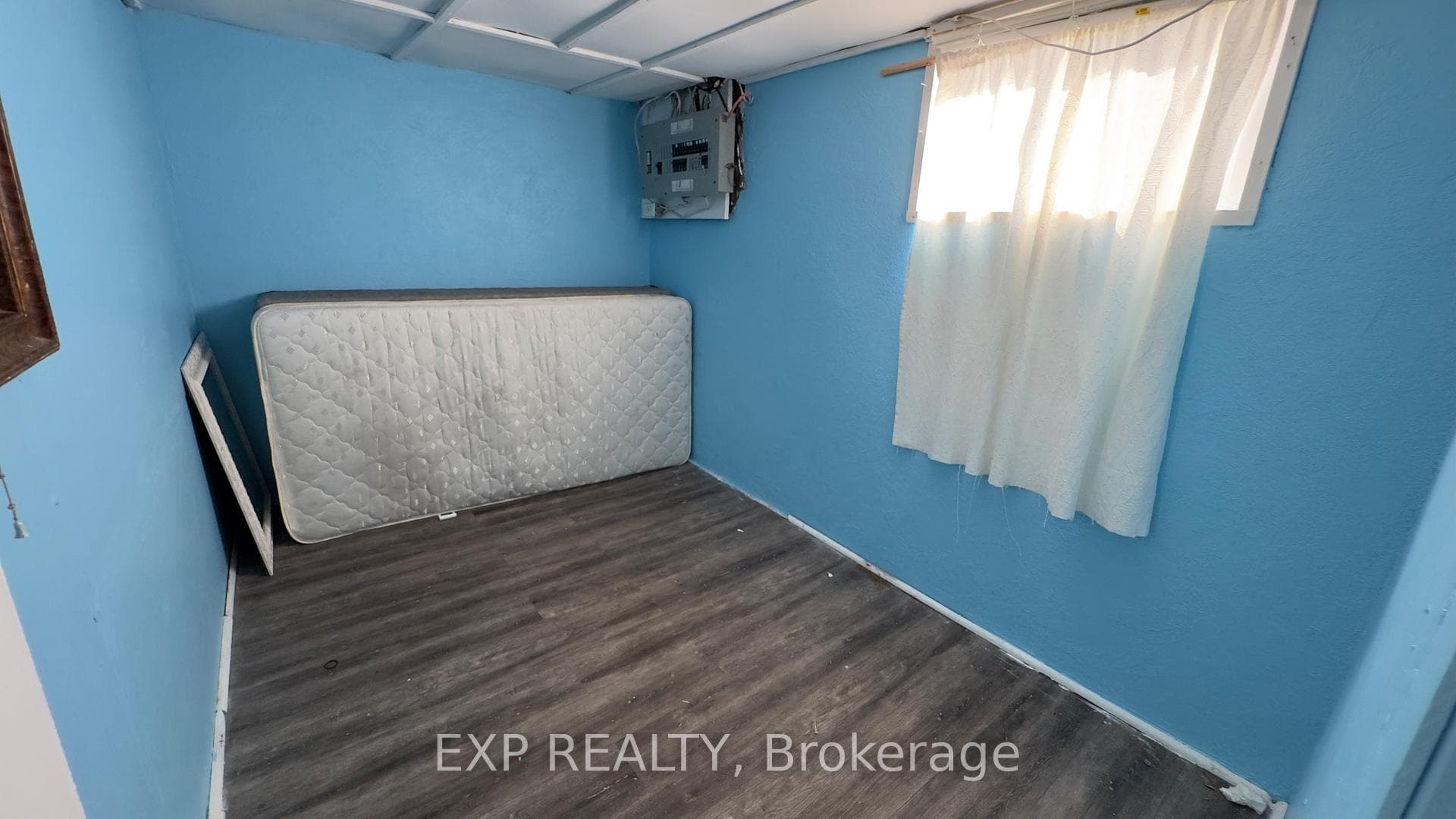 428 Carlton Street photo 18