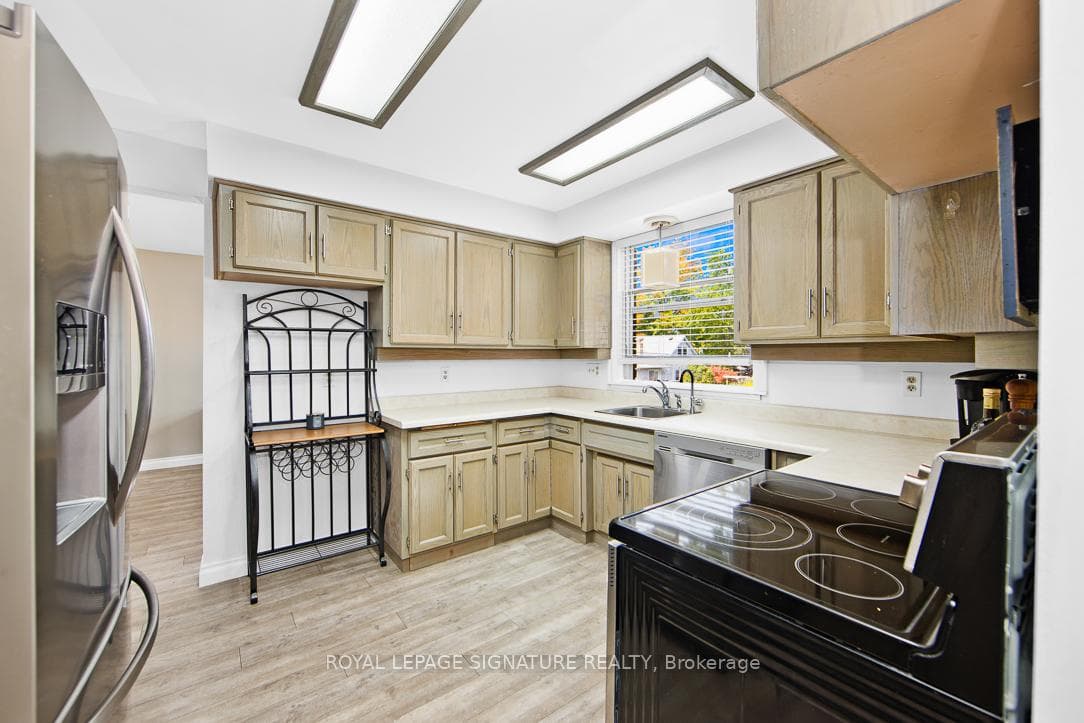 77 Mulberry Drive photo 12
