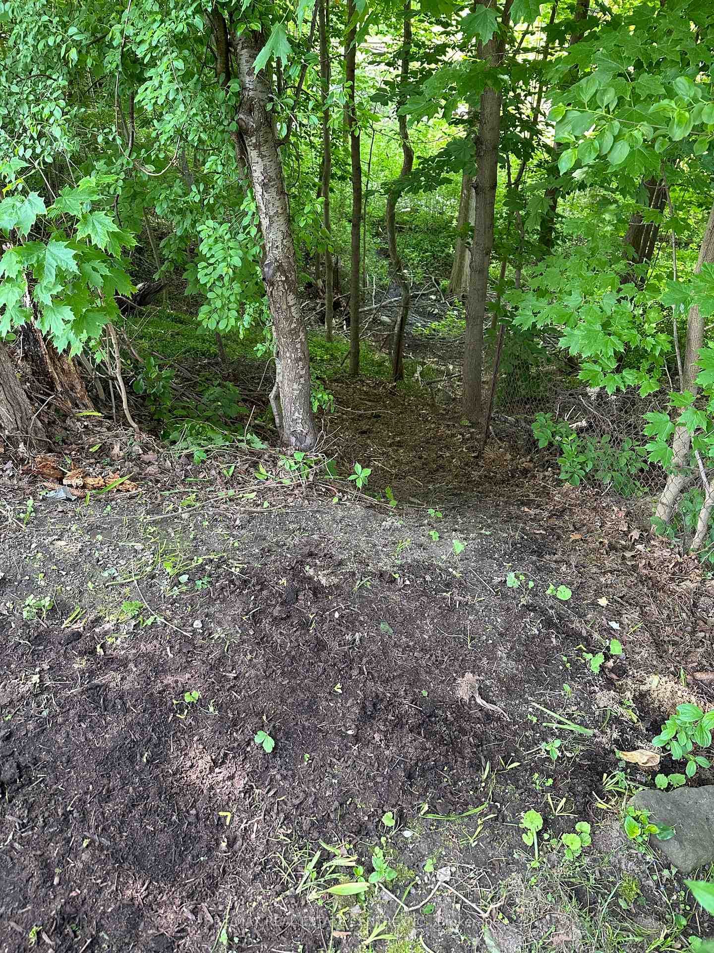 22 Crossburn Drive photo 28