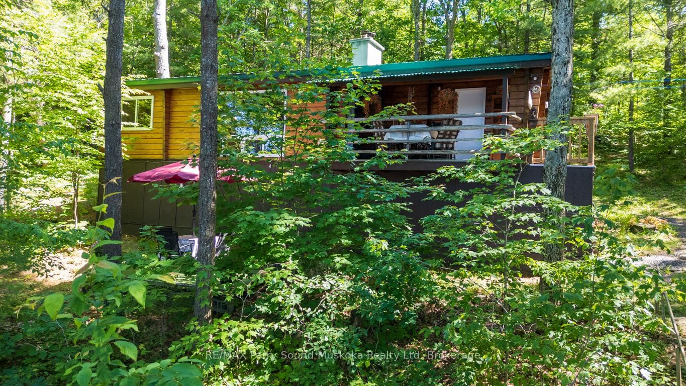 Nestled Amongst the Pines