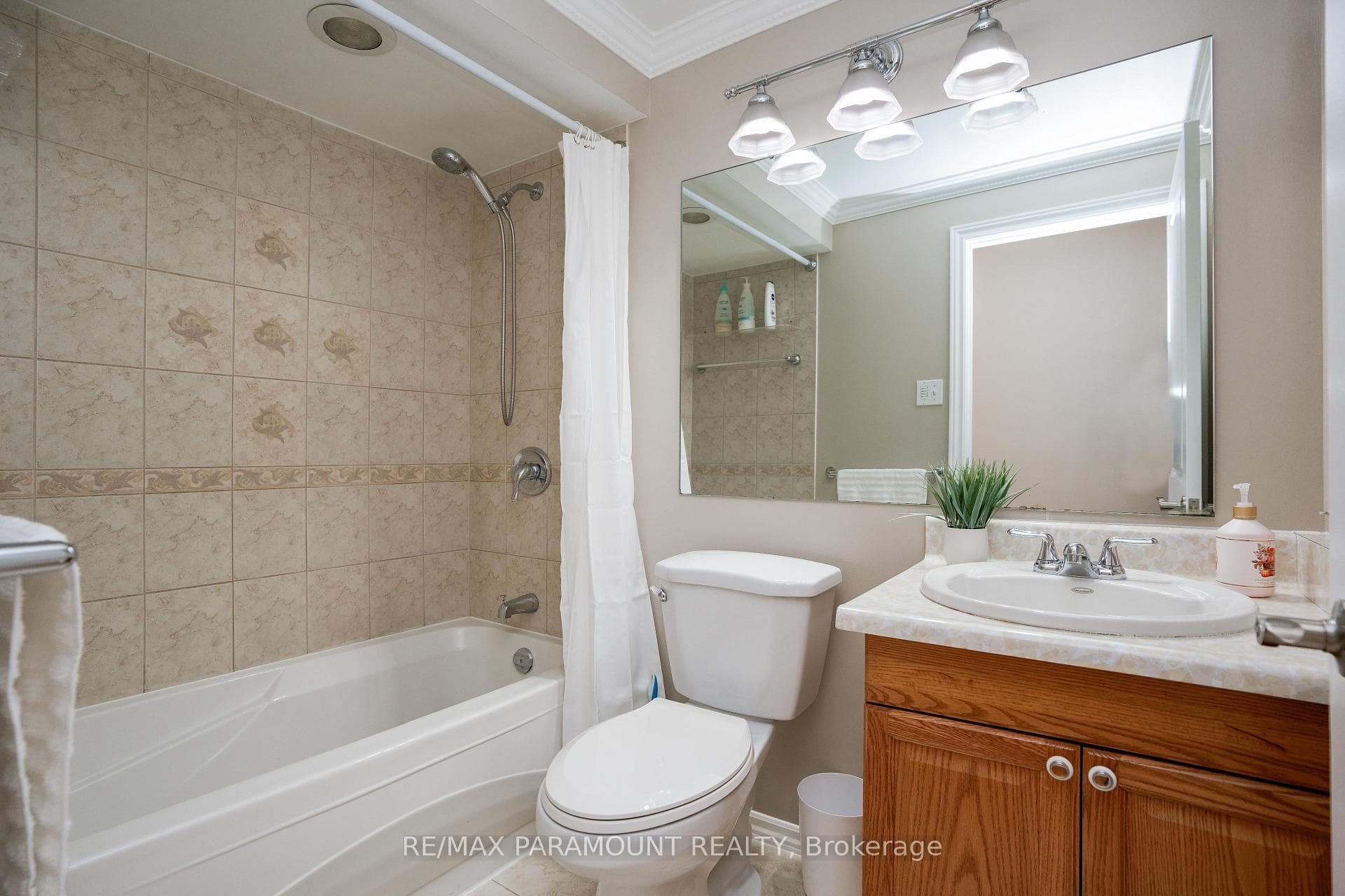 67 Braemar Drive photo 24