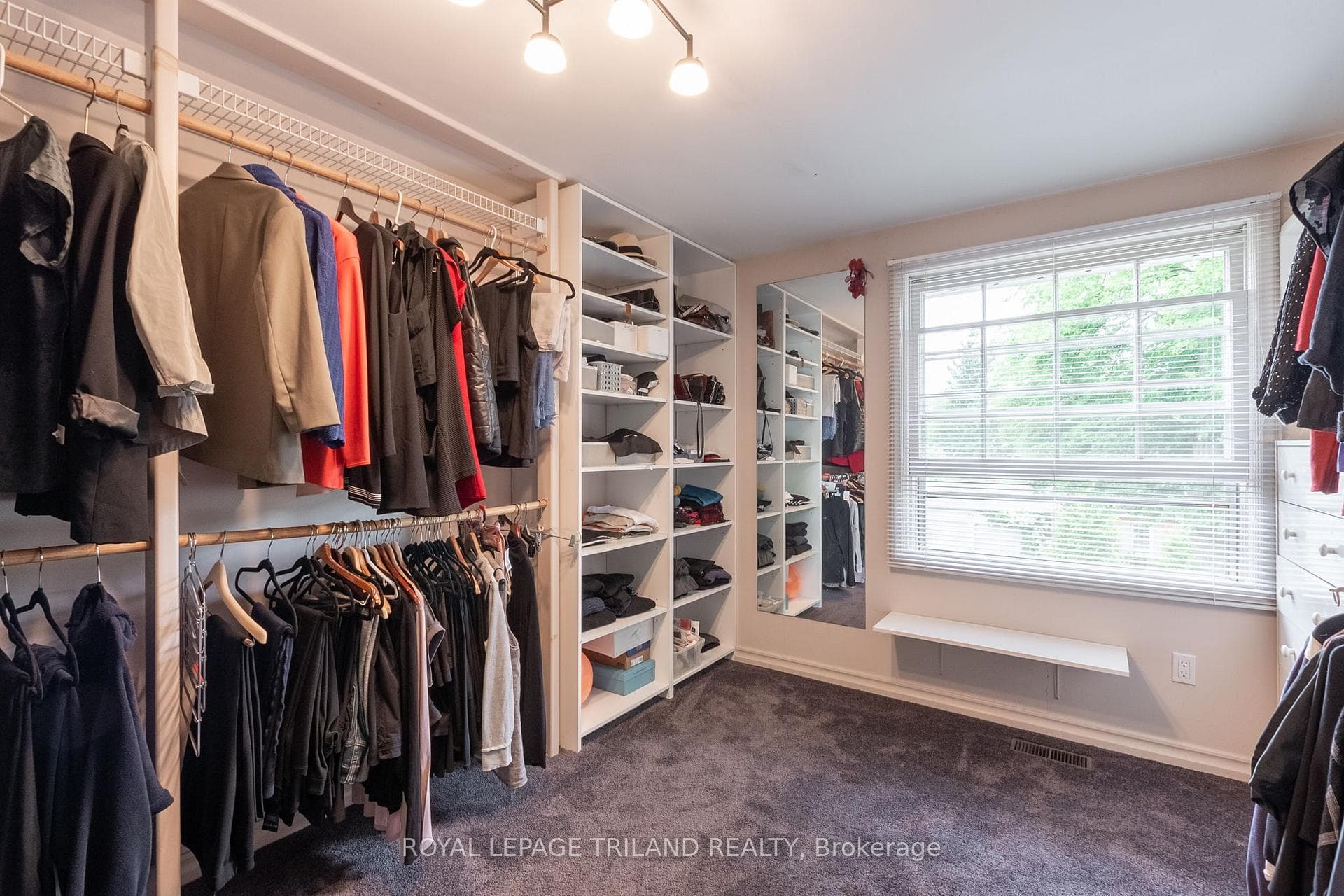 9 Scarlett Avenue photo 25