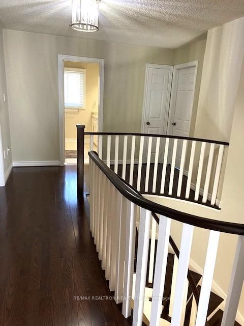 14 Marksbury Court photo 18