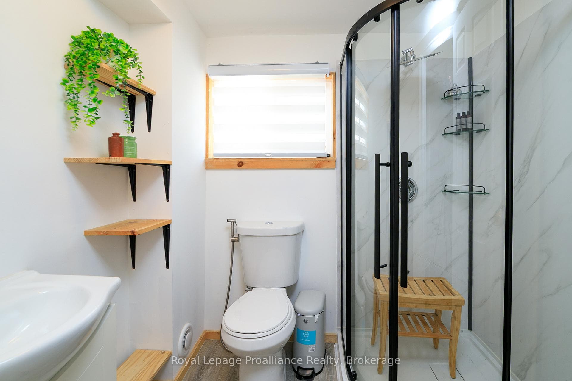 83 Moira Street photo 30