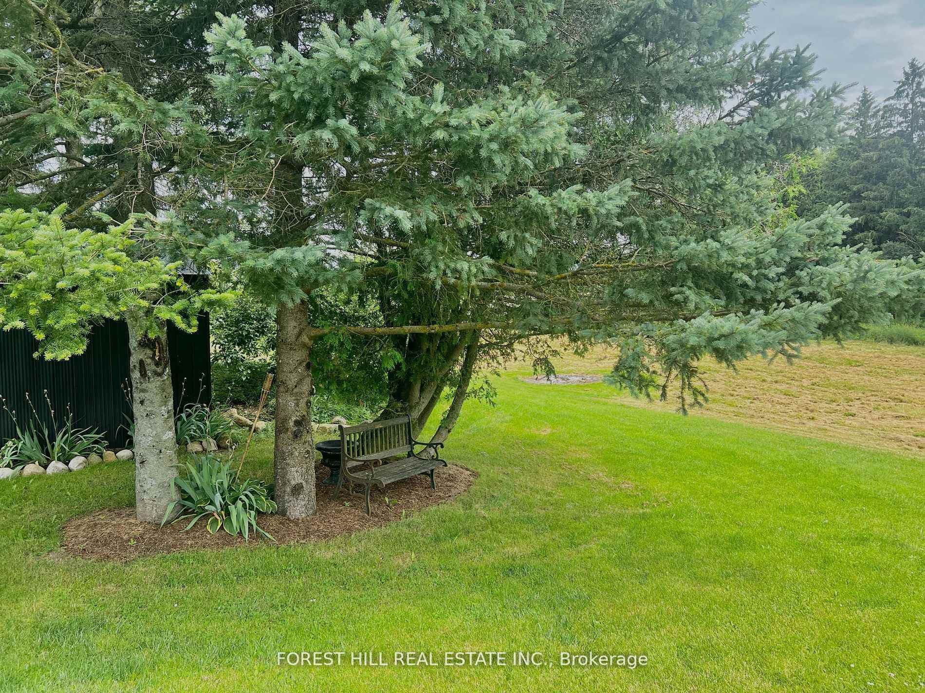 502094 Highway 89 N/A photo 42