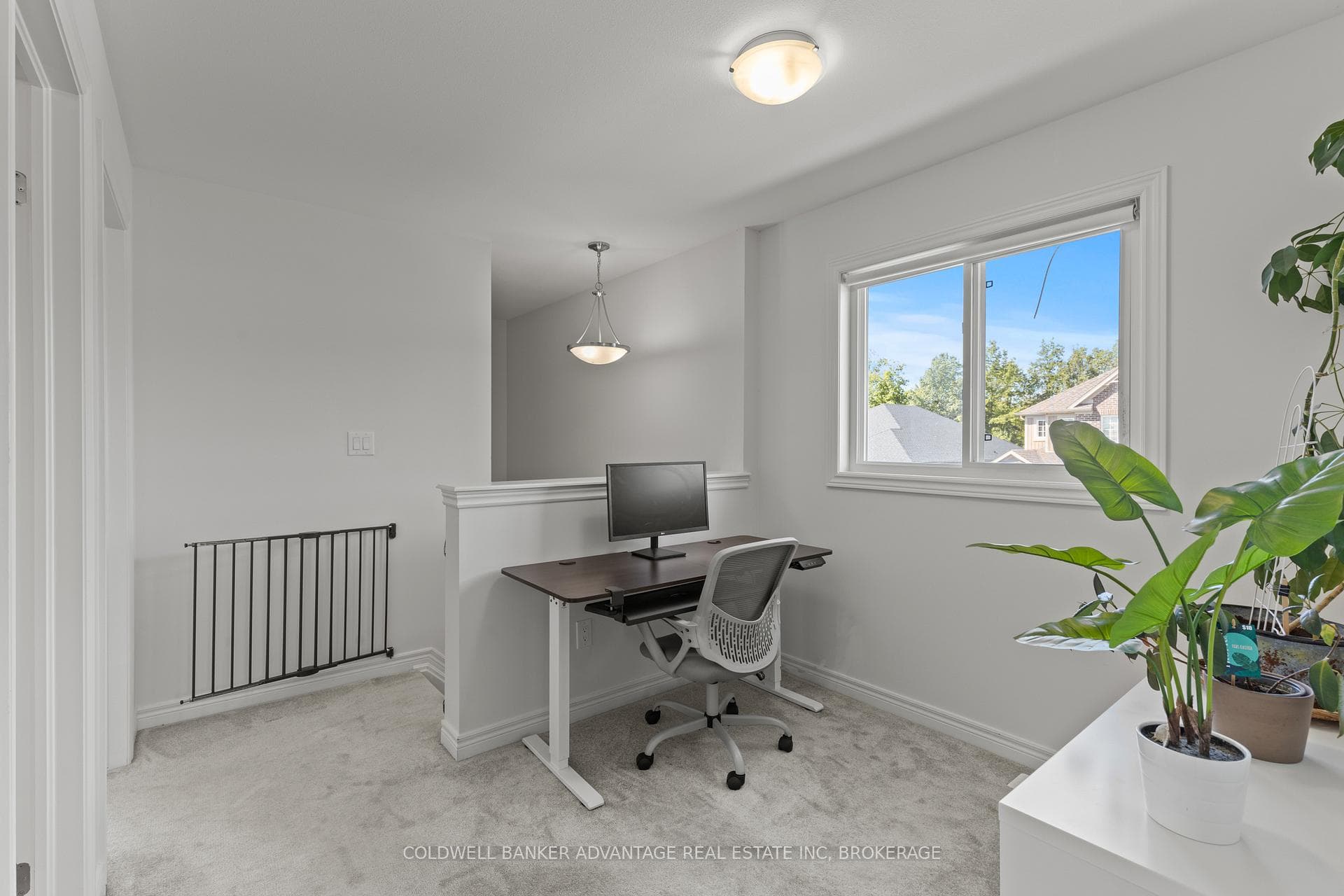 222 Heron Street photo 21