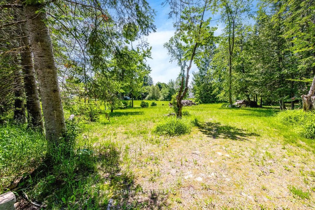 88 Smallman Drive photo 10