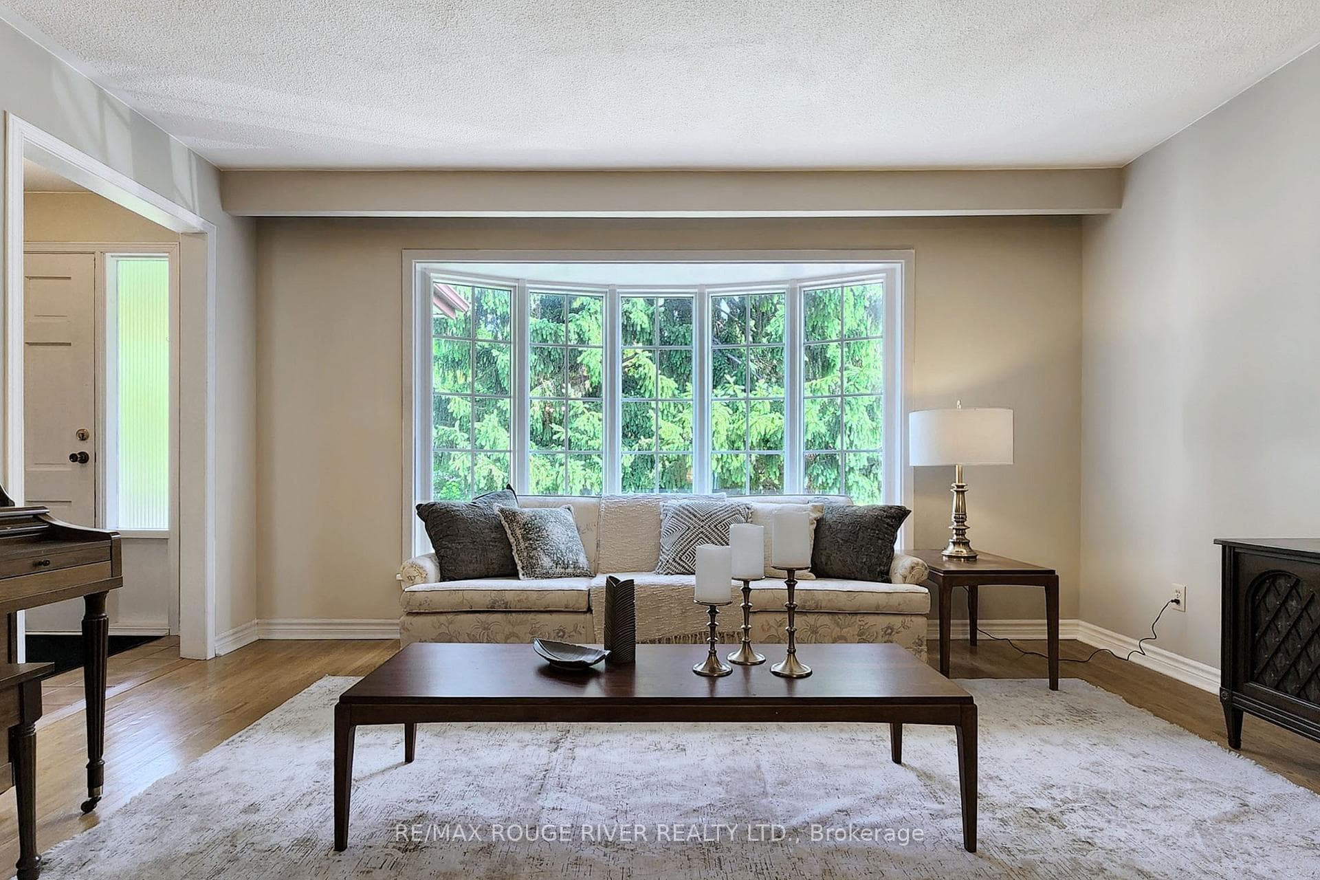 538 Rouge Hills Drive photo 4
