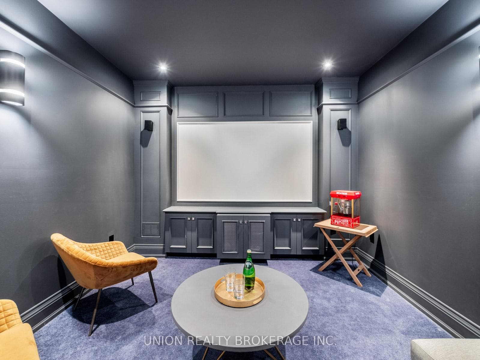 Theatre Room