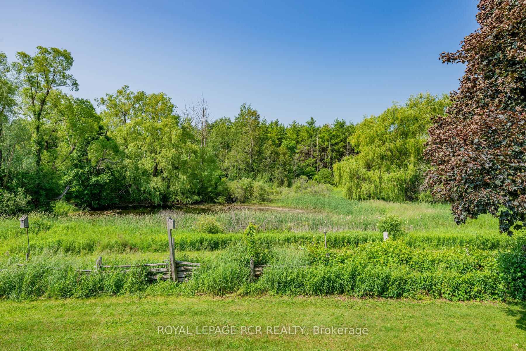15516 Shaws Creek Road photo 17