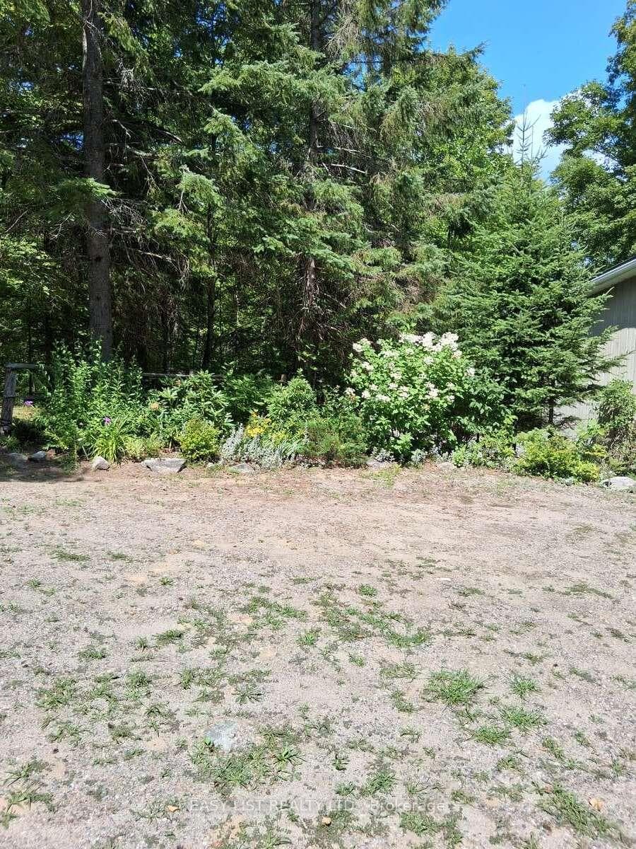 175 Old Man's Lake Lane photo 2