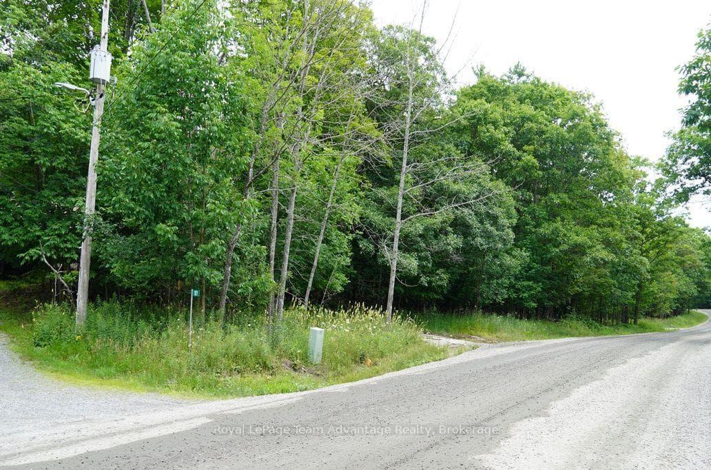 101 & 99 Carling Bay Road photo 34